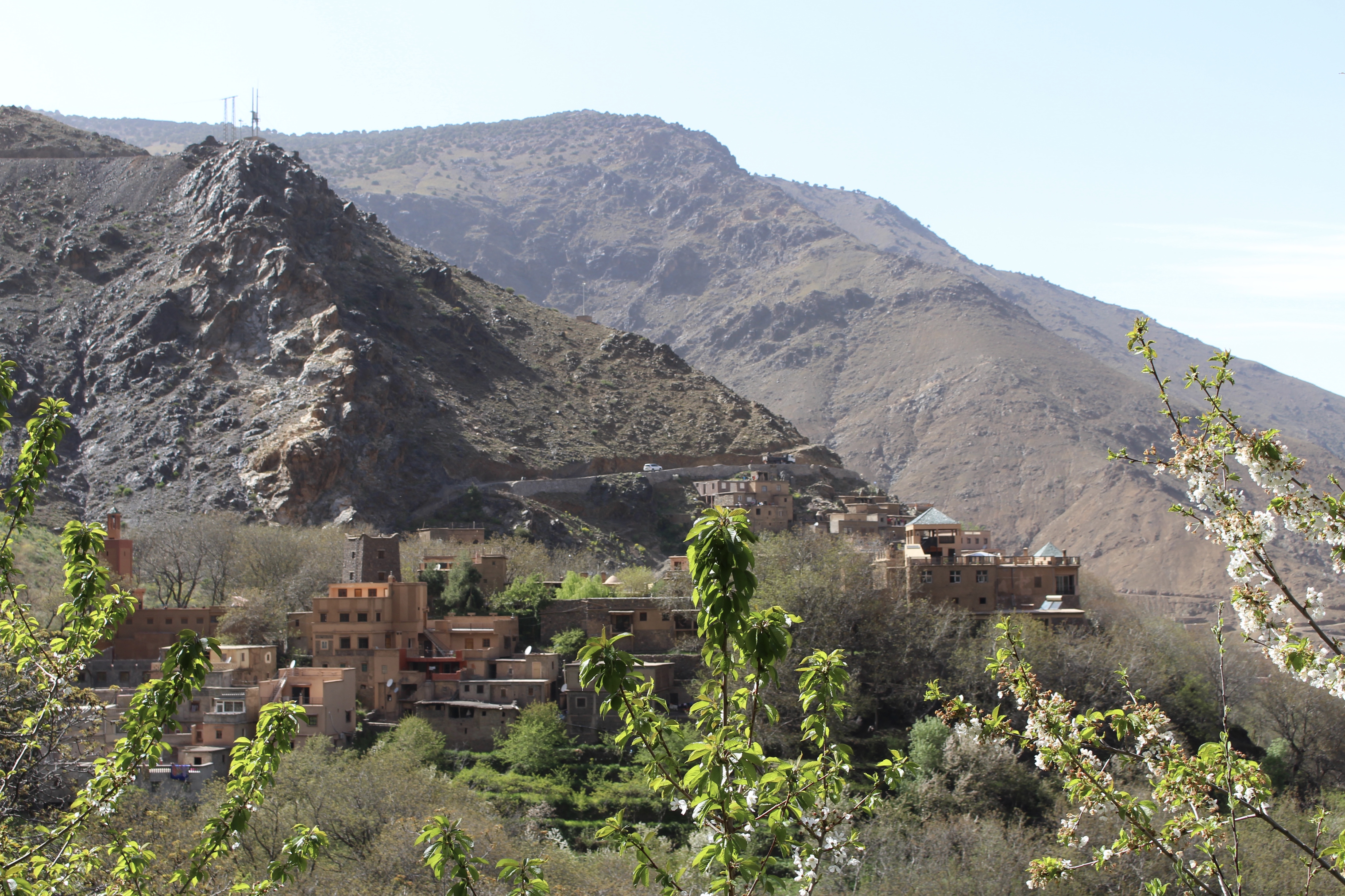 fullsizeoutput_1c9d2