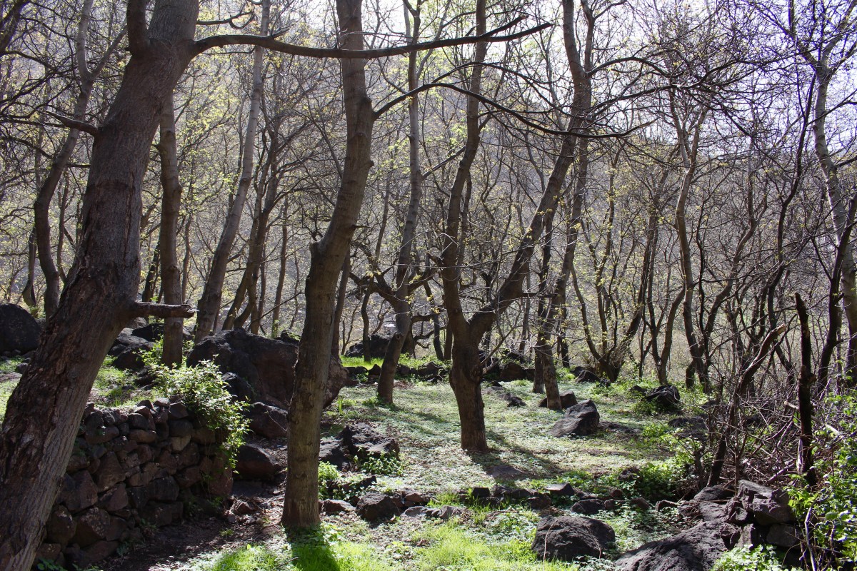 fullsizeoutput_1c9d3