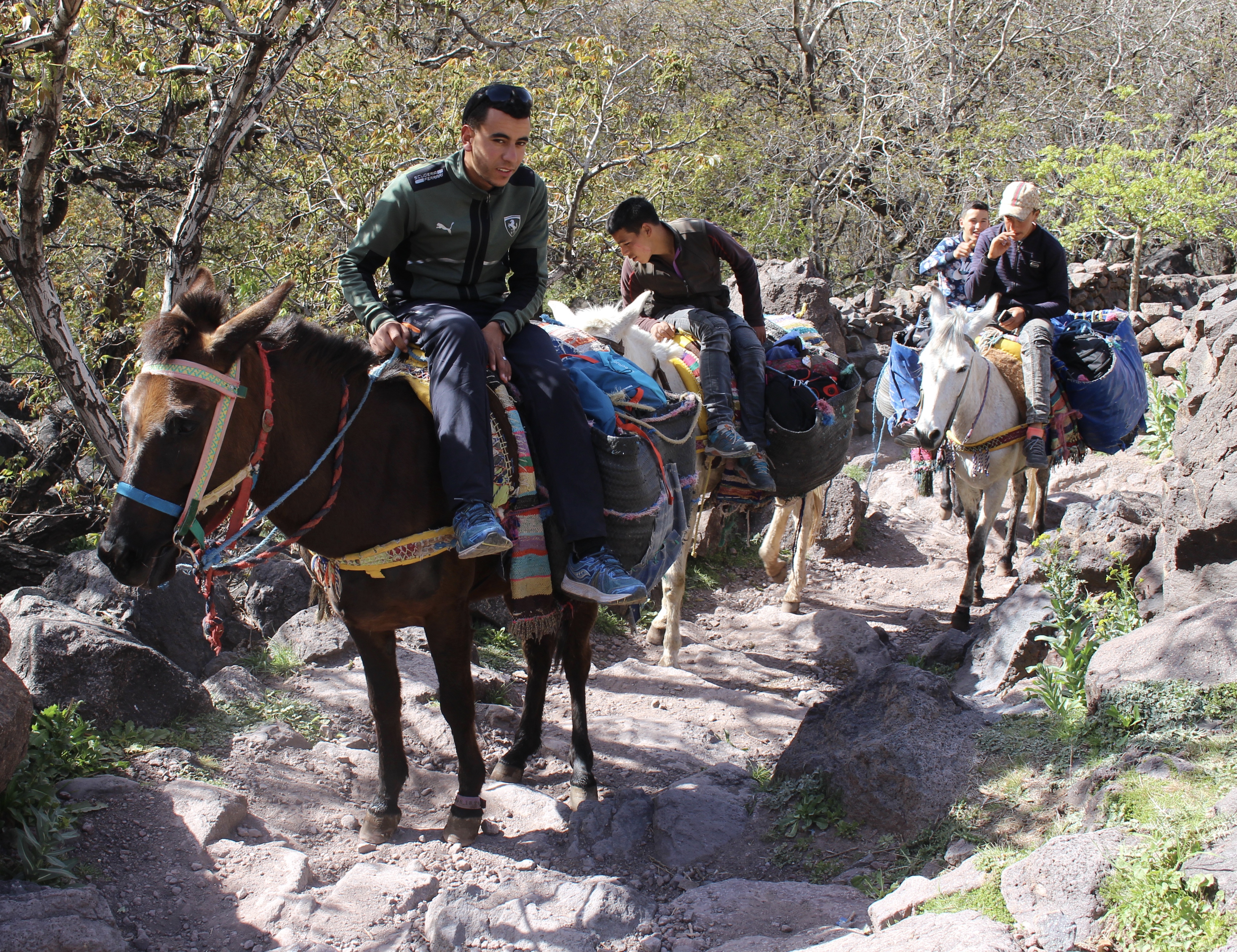 fullsizeoutput_1c9d4