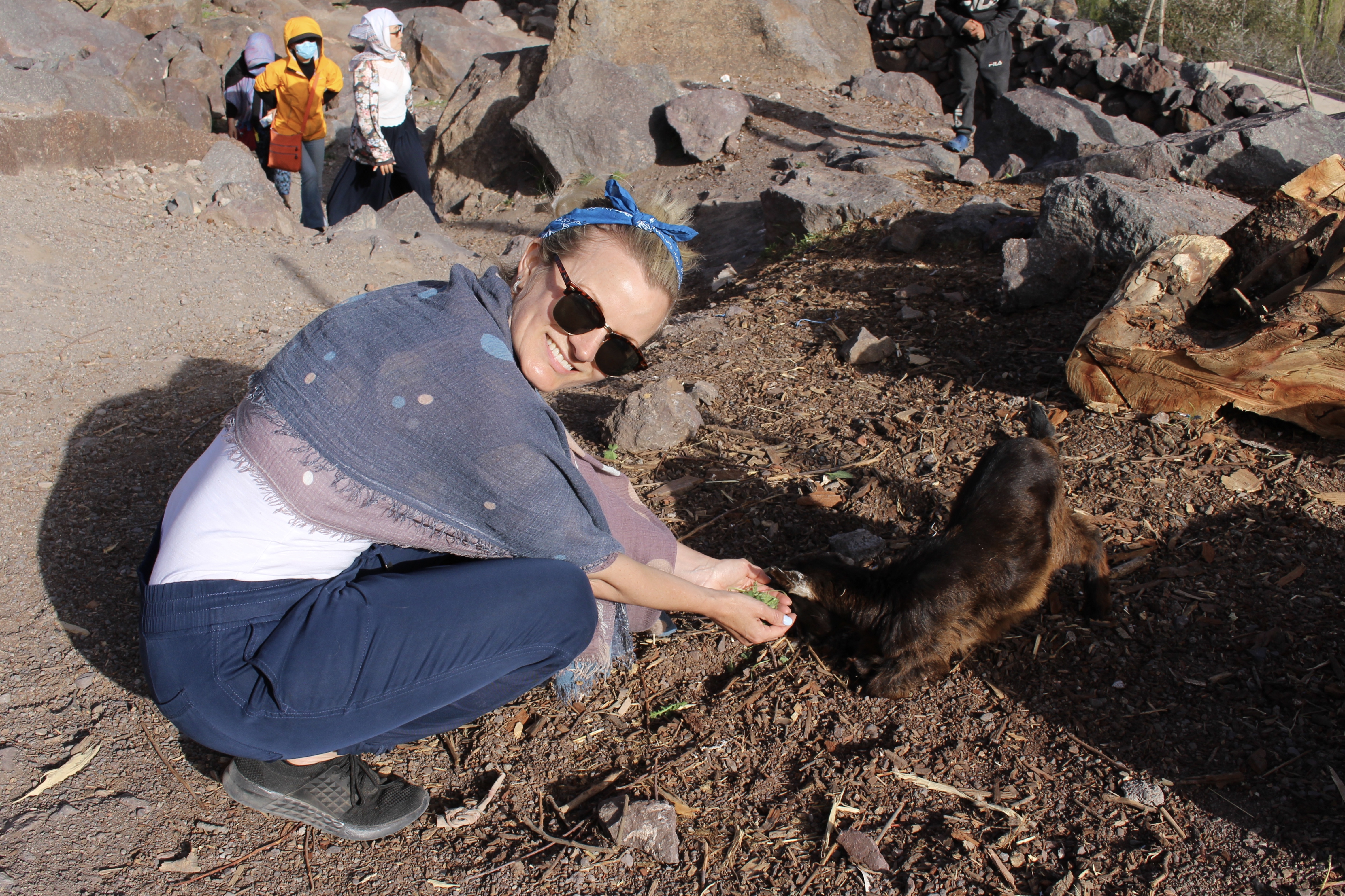 fullsizeoutput_1c9e2