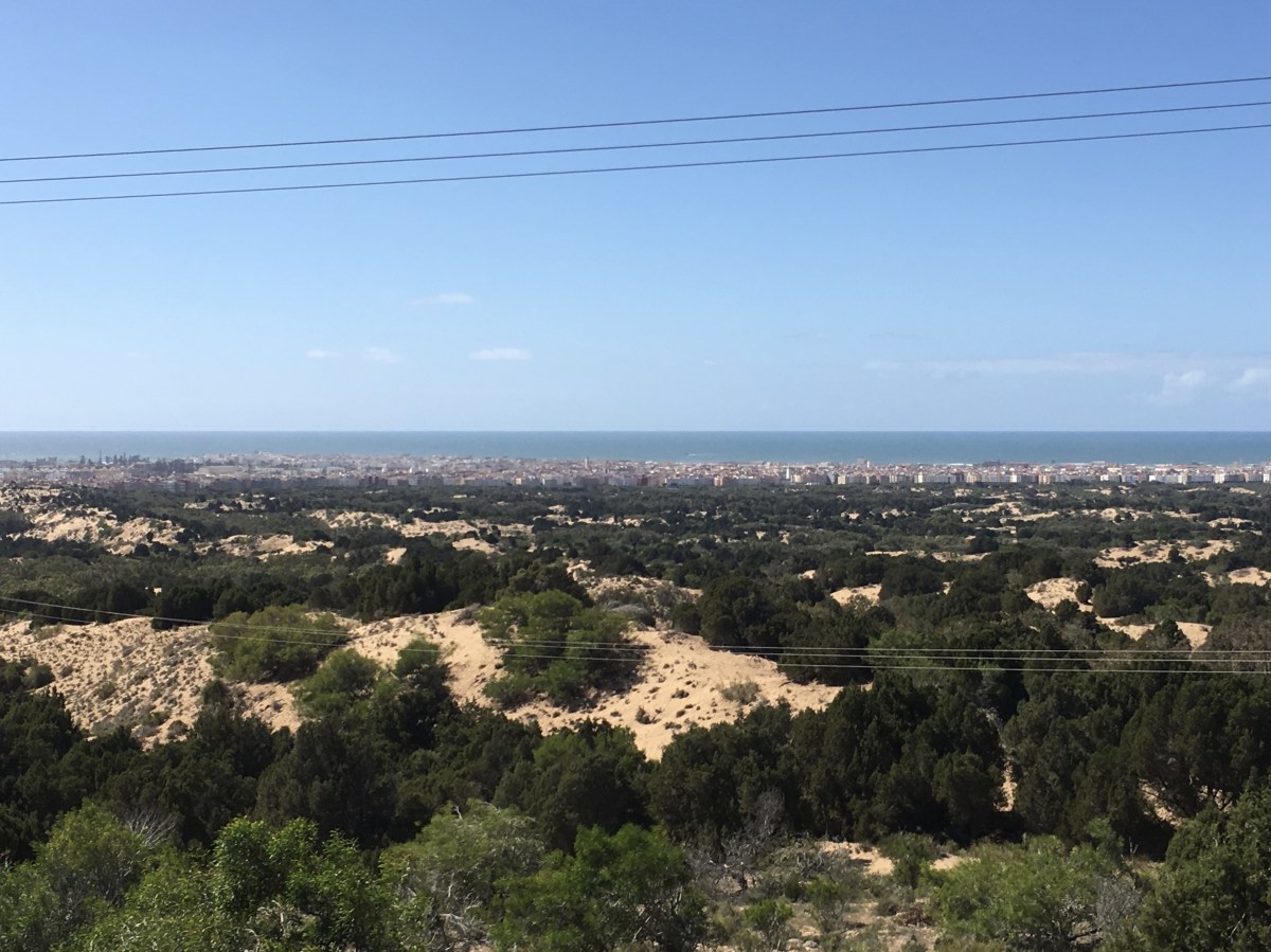 fullsizeoutput_1ca85