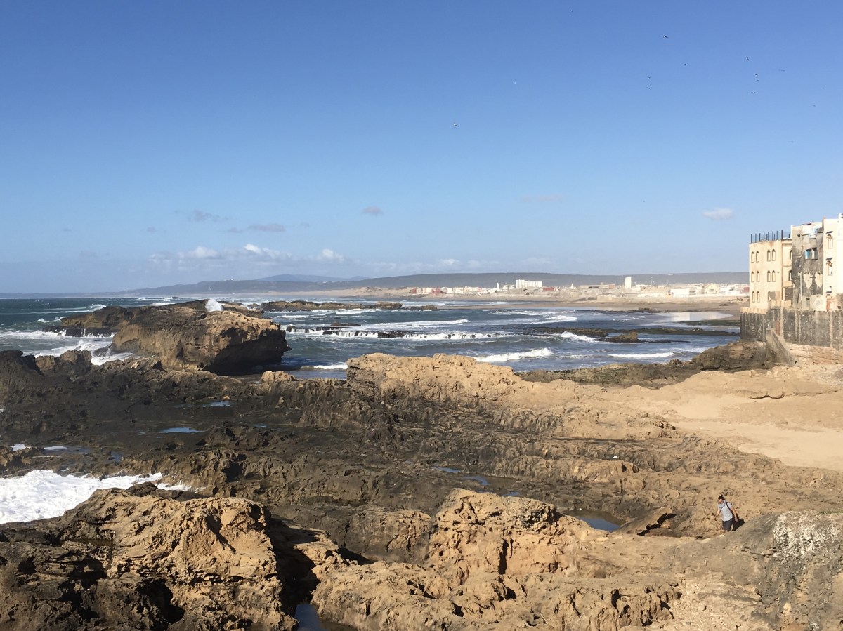 fullsizeoutput_1ca95