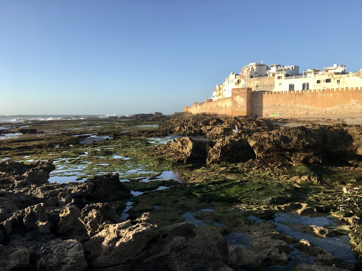 fullsizeoutput_1caa8