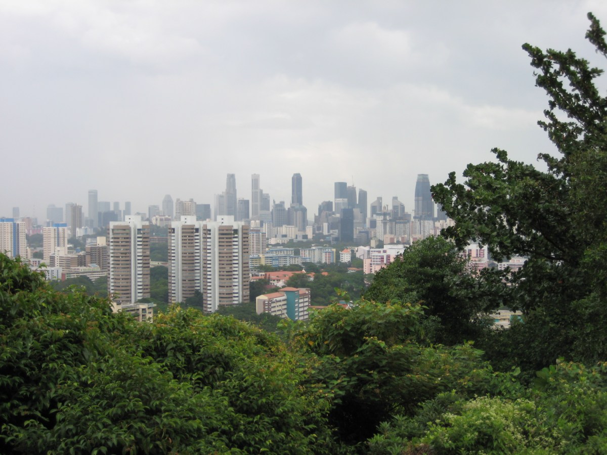 NYEgyptSingapore 710