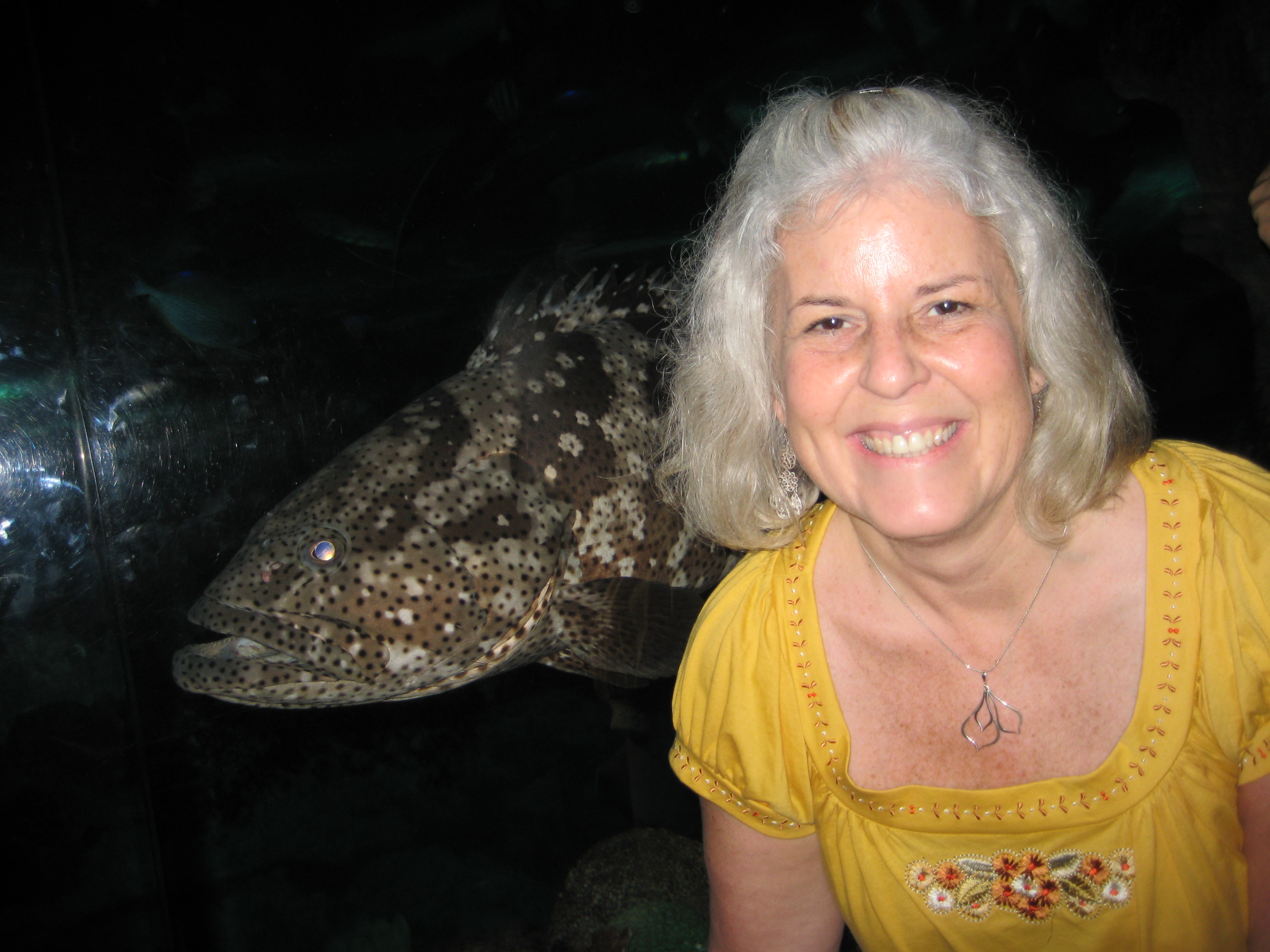 NYEgyptSingapore 870