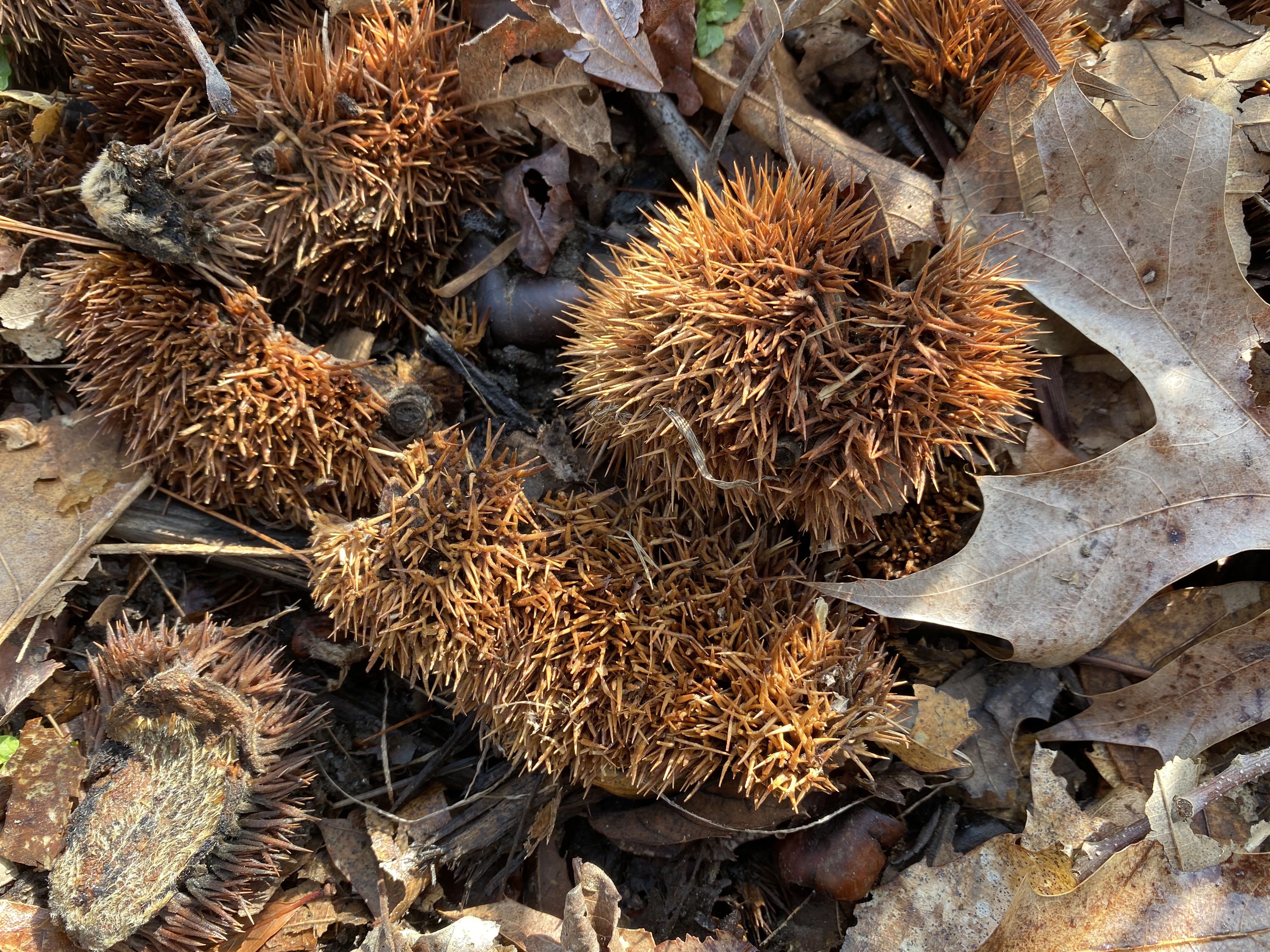 uN8Nv600SiuQ0dcU6xJE8Q