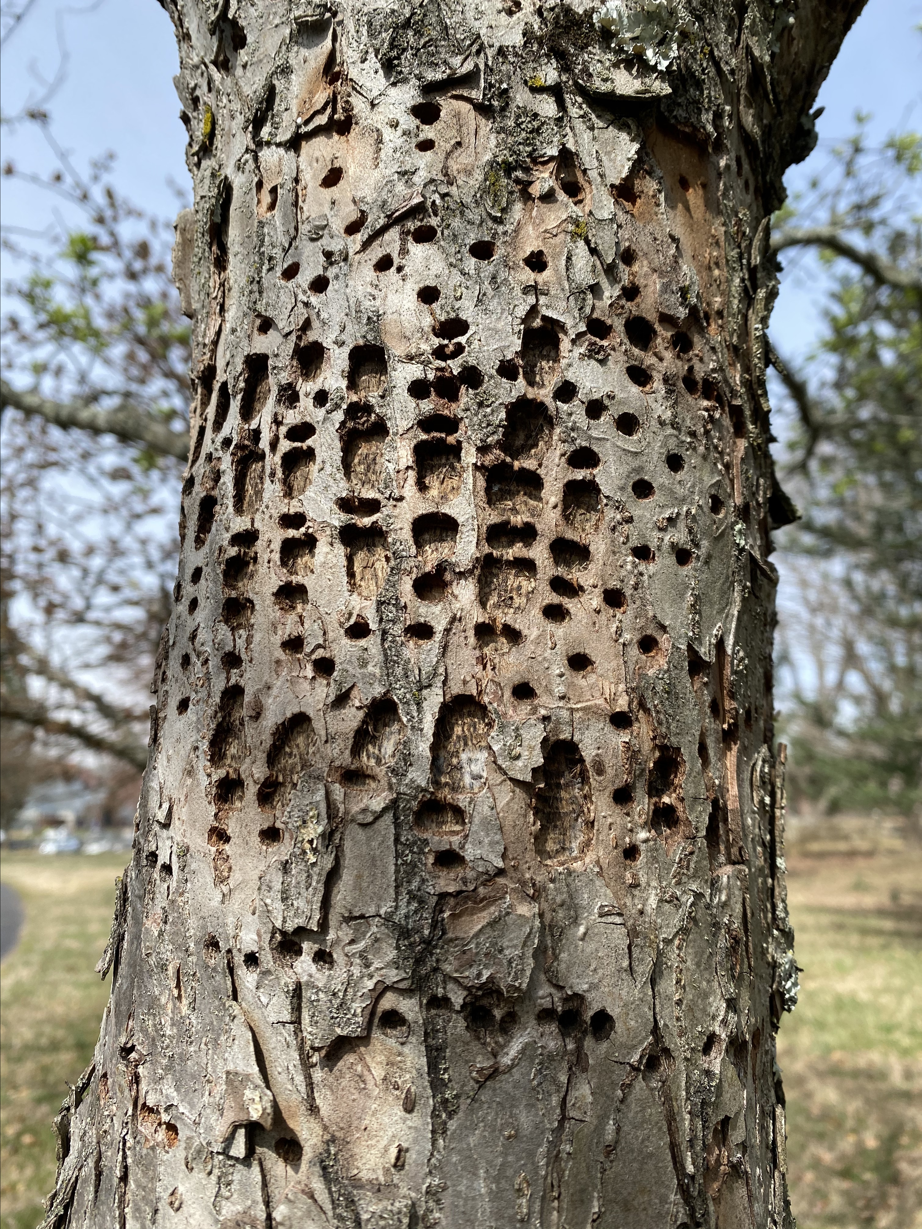 v3x%1mYqRrK3LT6PYMftVw