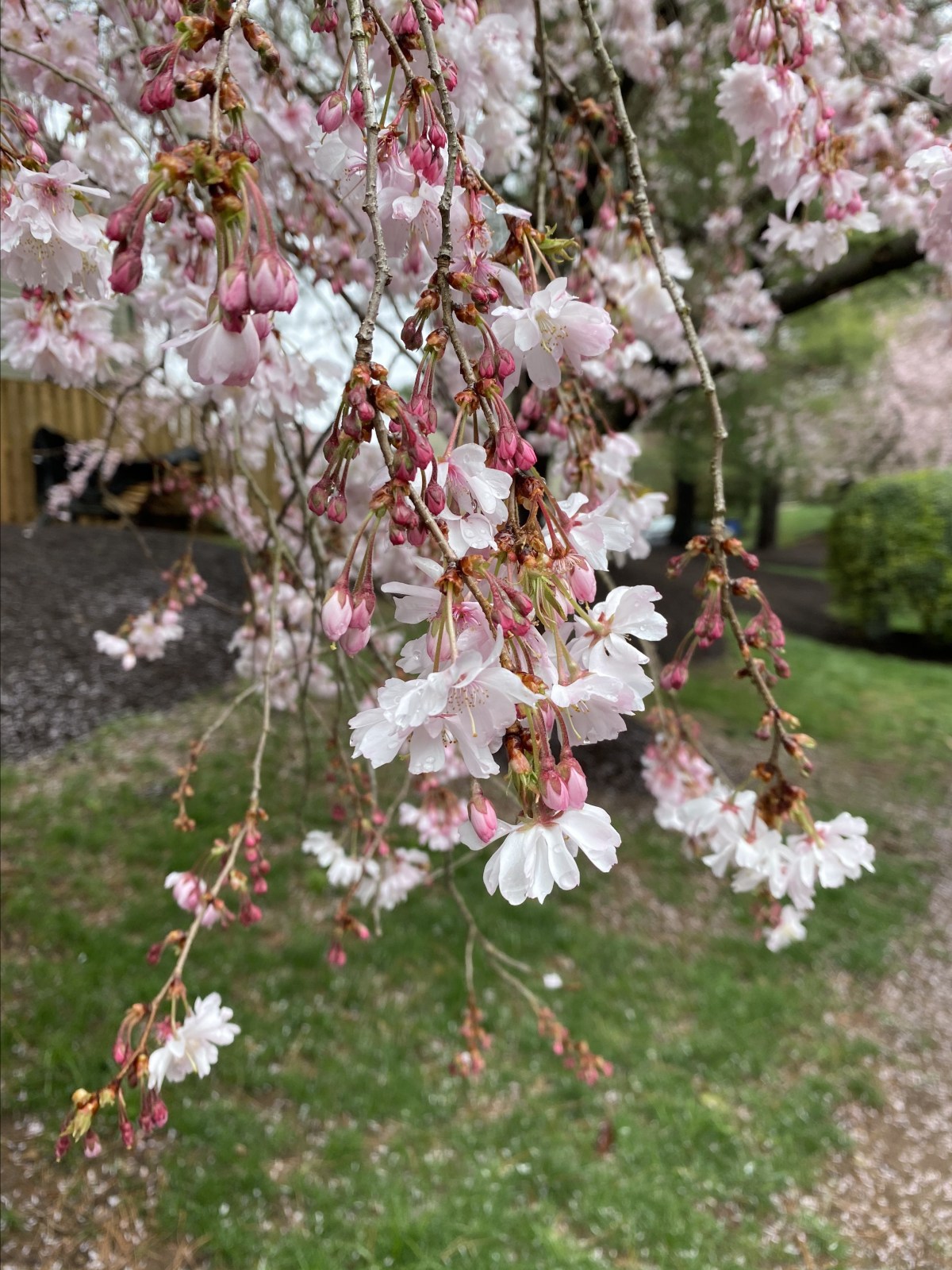 XdMI0bGLQA20PRnKaQBjZg