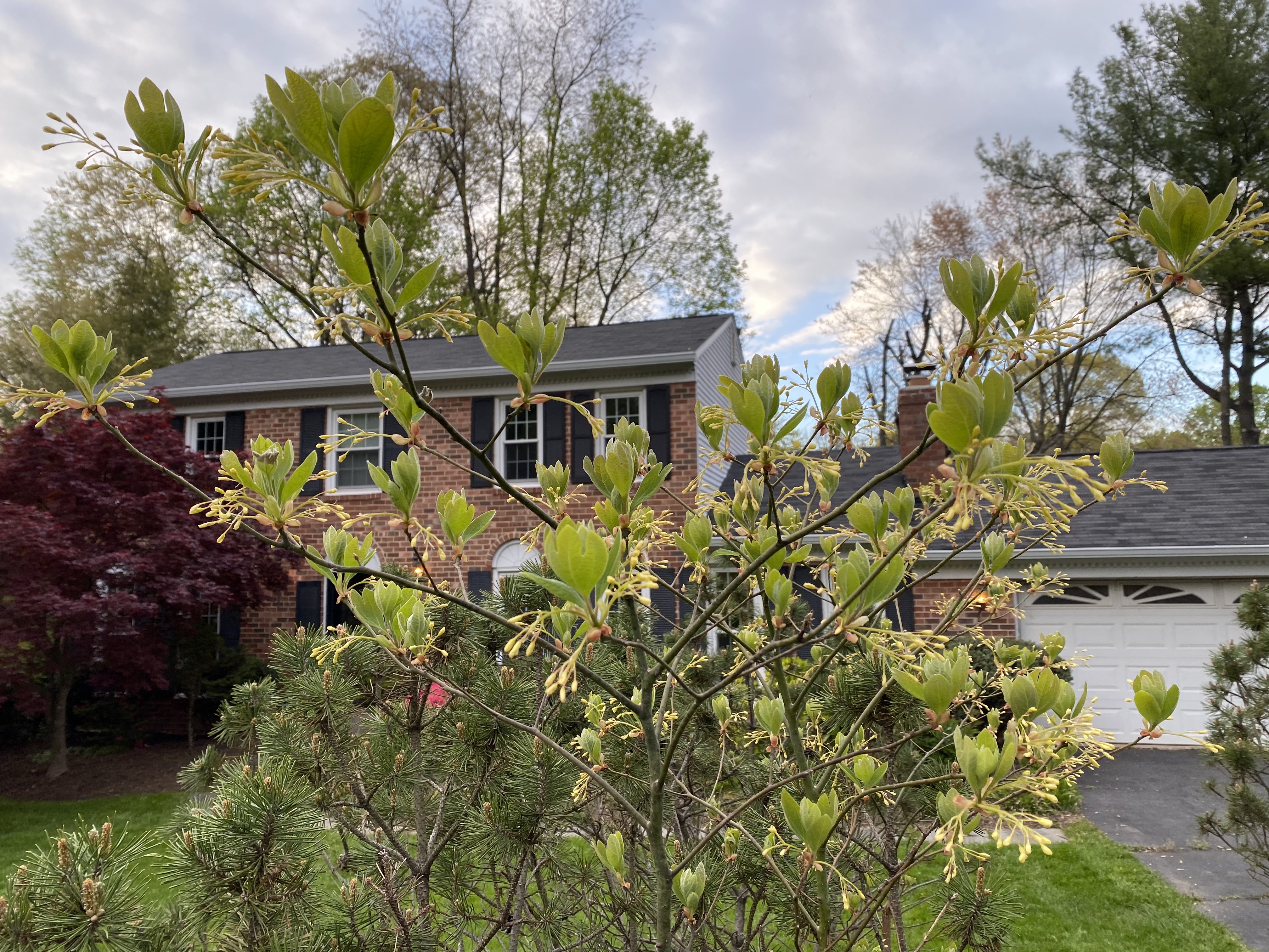 3q+wgp6QSyq+BPfrGQWN5w