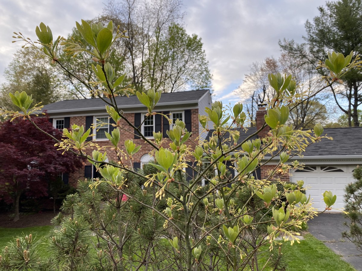 3q+wgp6QSyq+BPfrGQWN5w