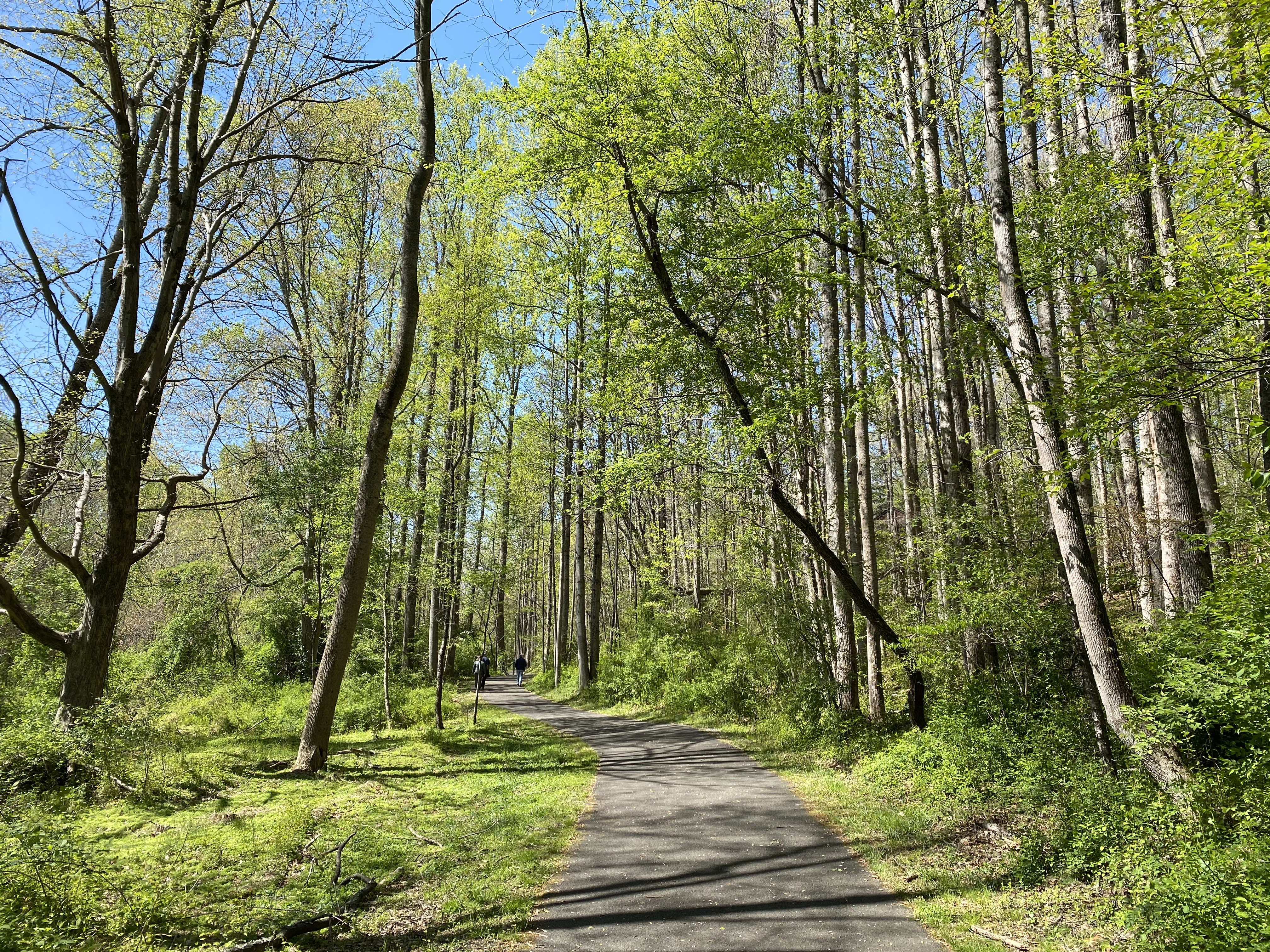 9zhyfj0lSgCrR1lVEGR9uw