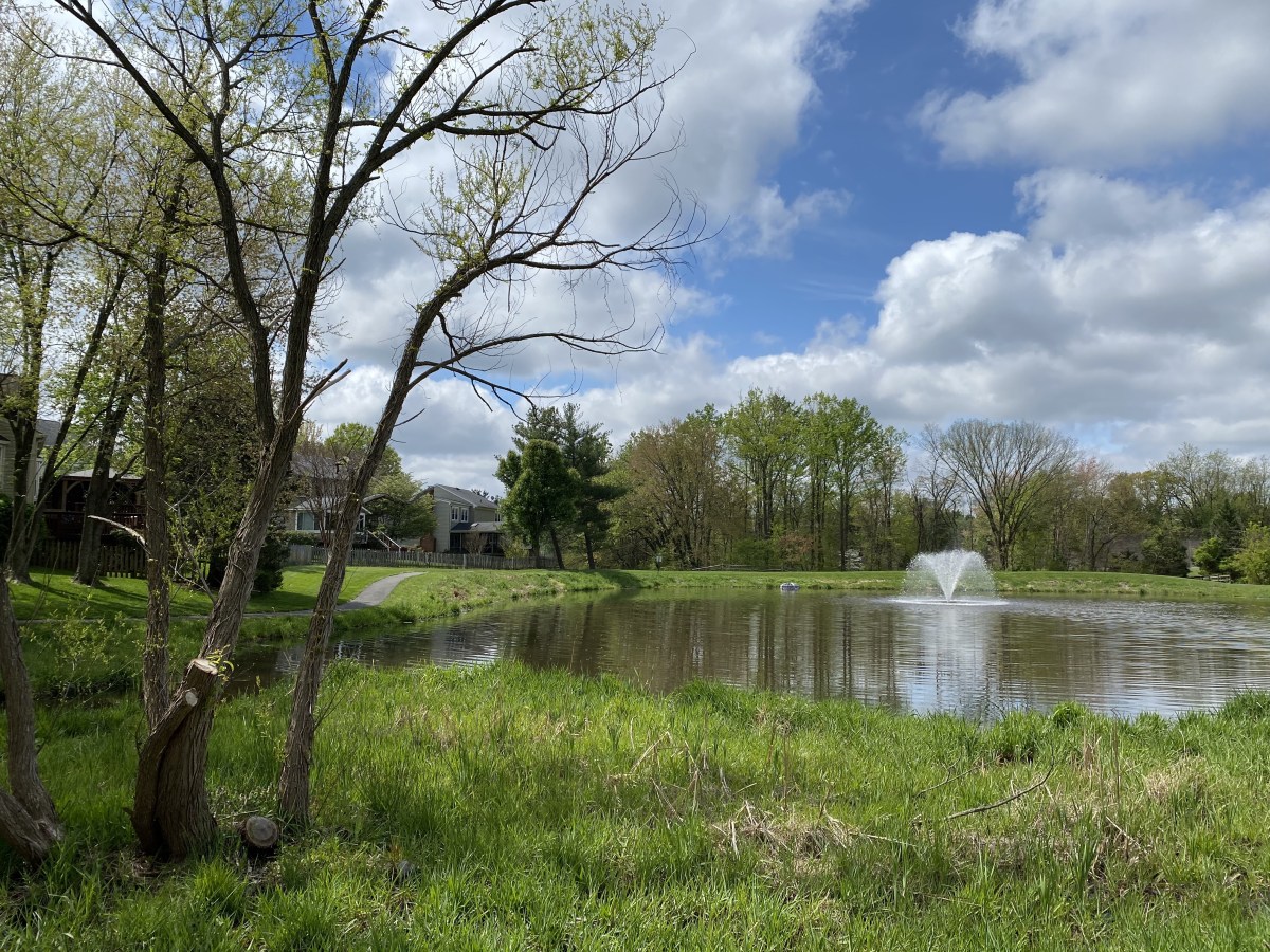 eAJCmAPSS5yzl3PC6fbzwQ