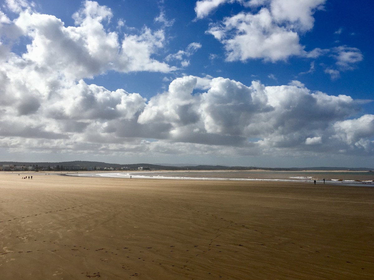 fullsizeoutput_1827c