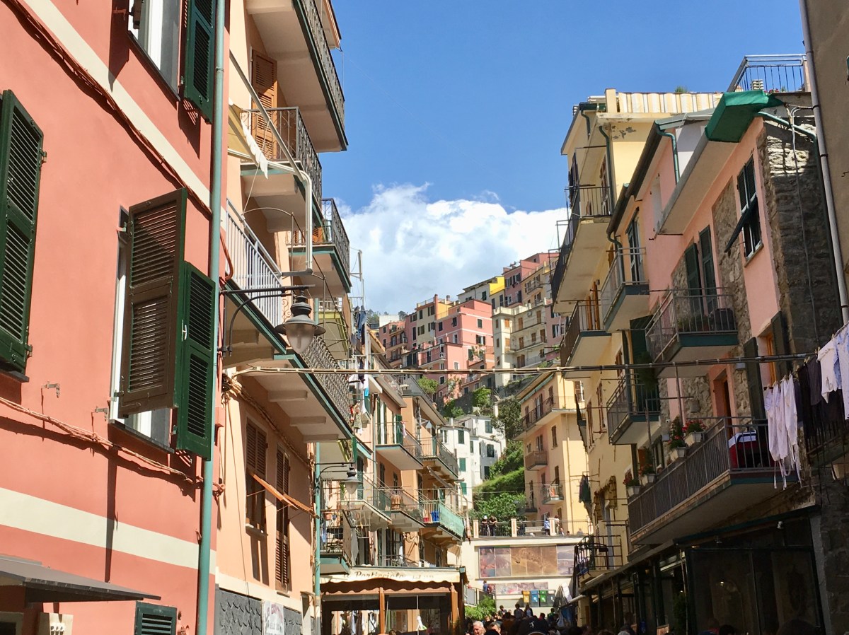 fullsizeoutput_184b5