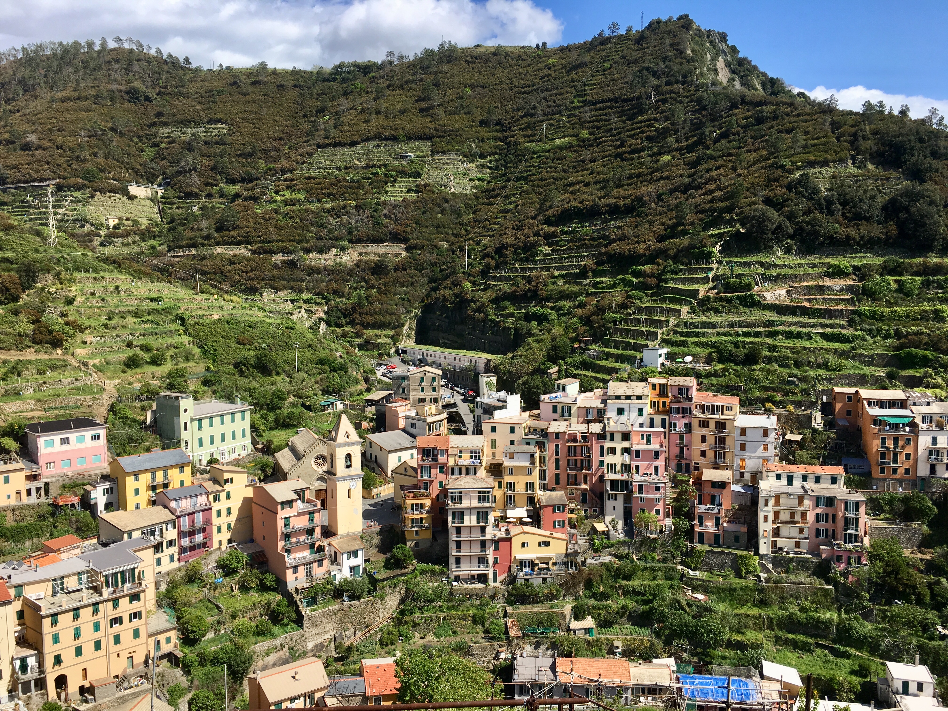 fullsizeoutput_184c3