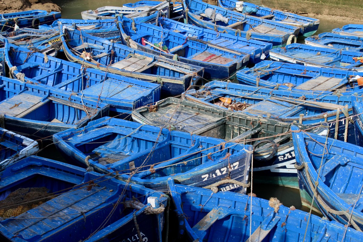 fullsizeoutput_19be3