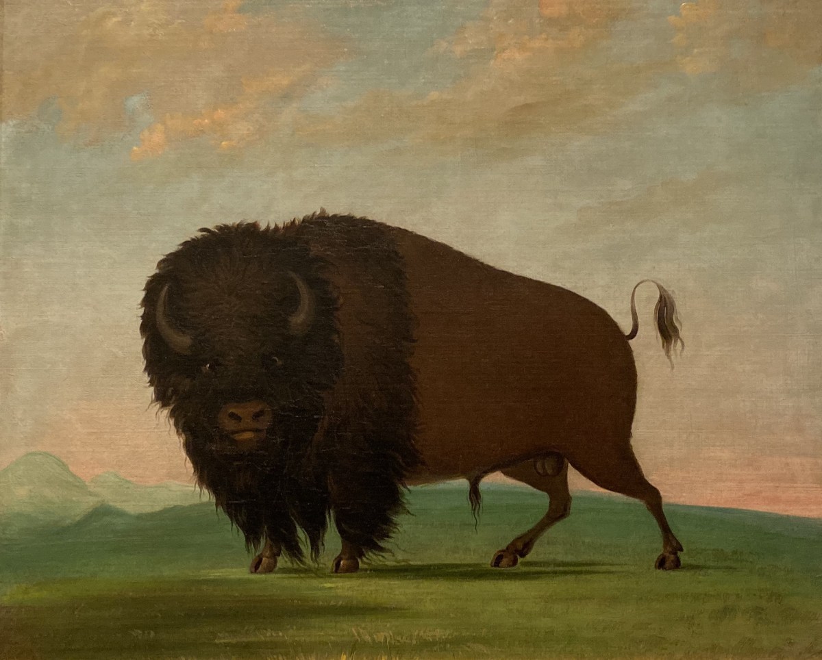 fullsizeoutput_1bdbd