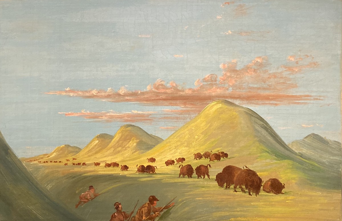 fullsizeoutput_1bdbf