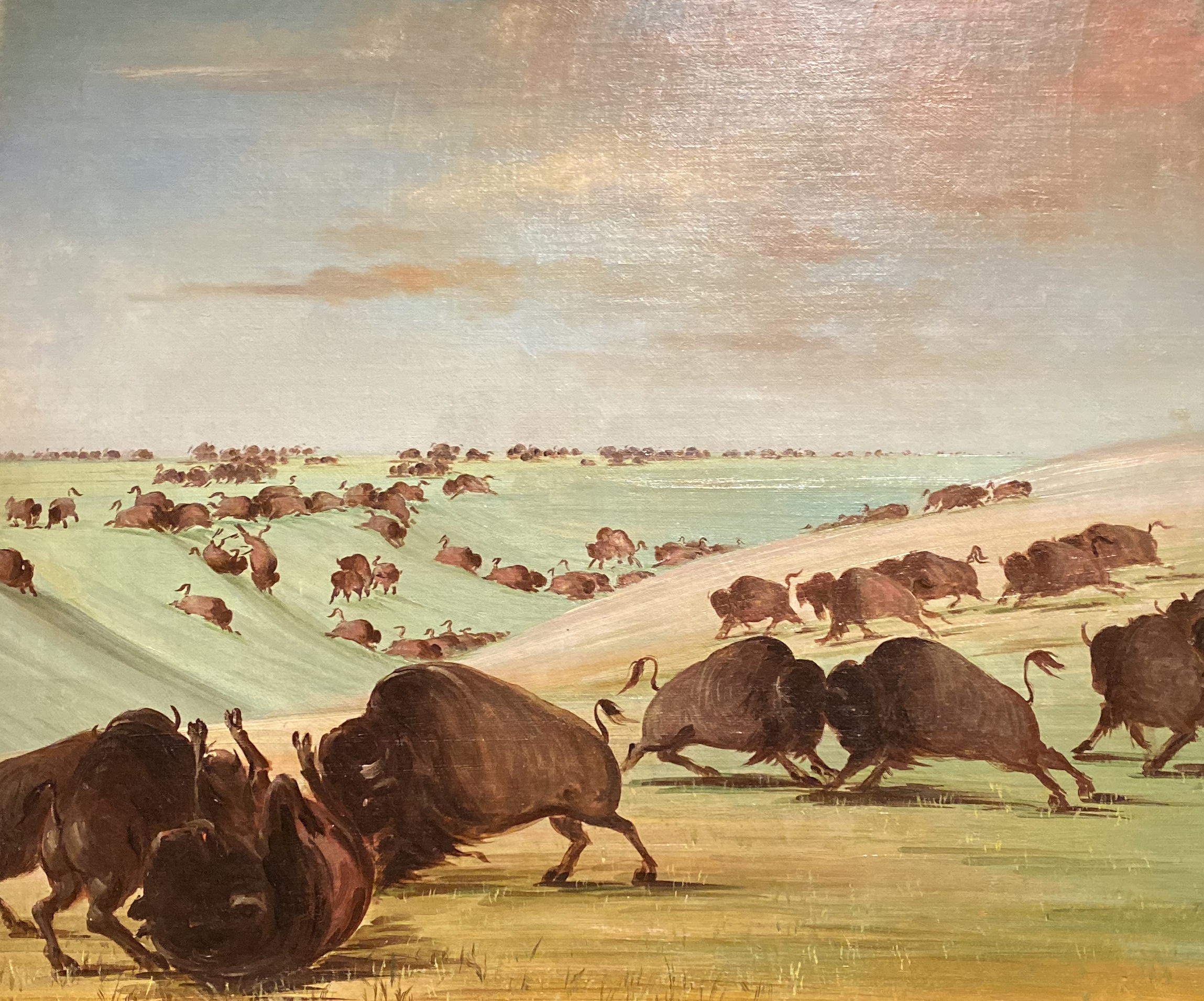 fullsizeoutput_1bdca