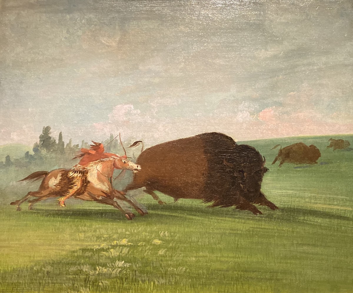 fullsizeoutput_1bdcc