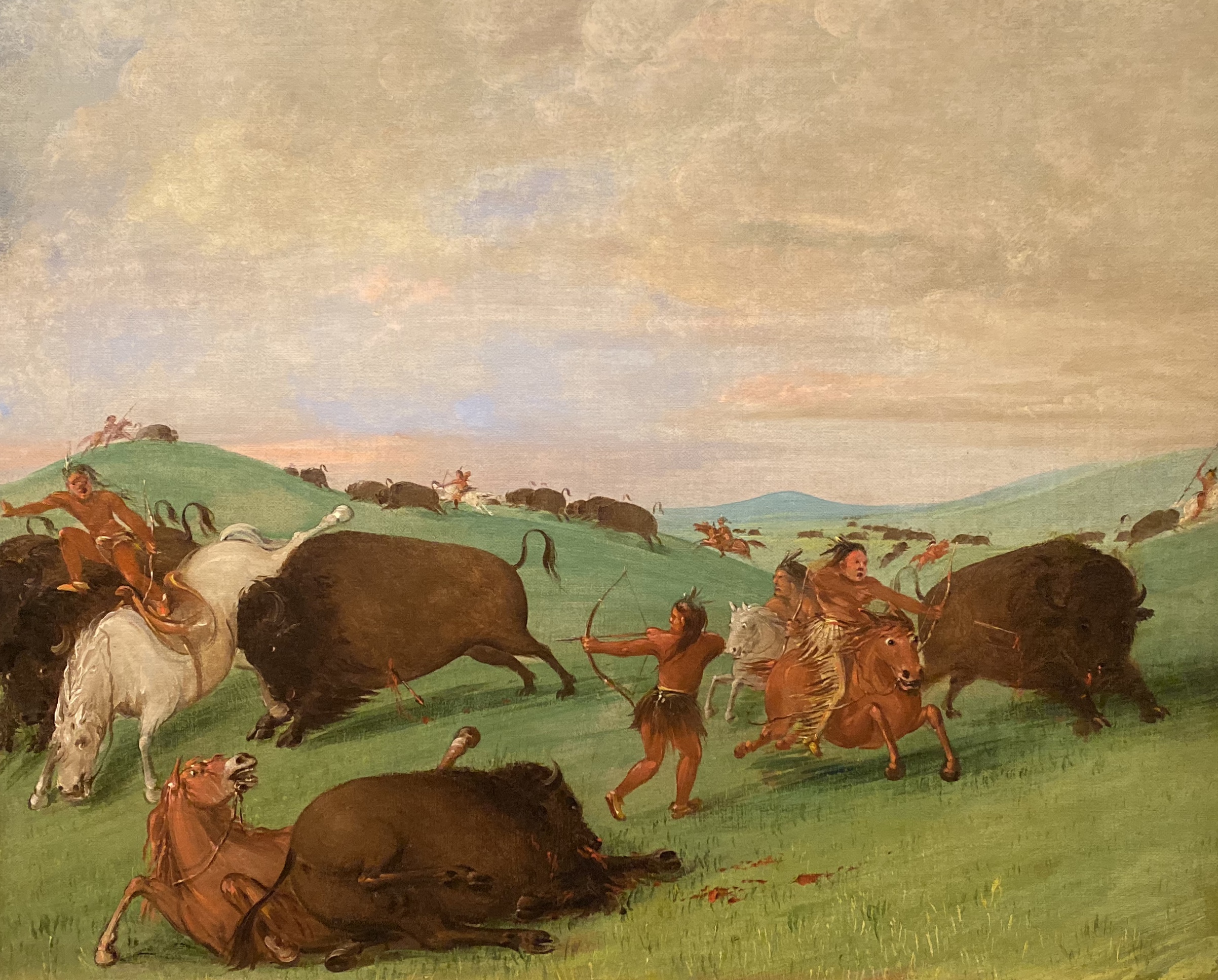 fullsizeoutput_1bdce