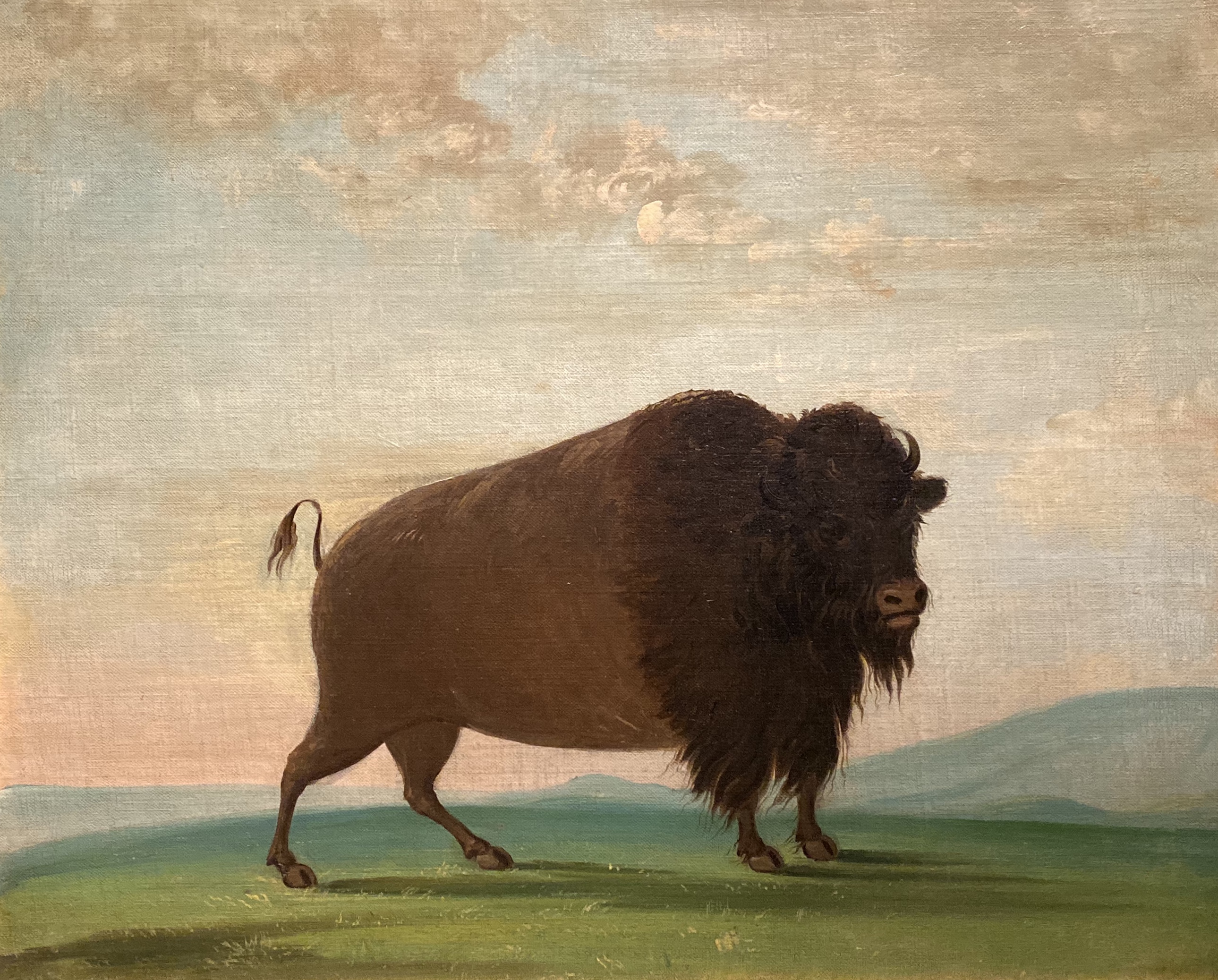 fullsizeoutput_1bdcf