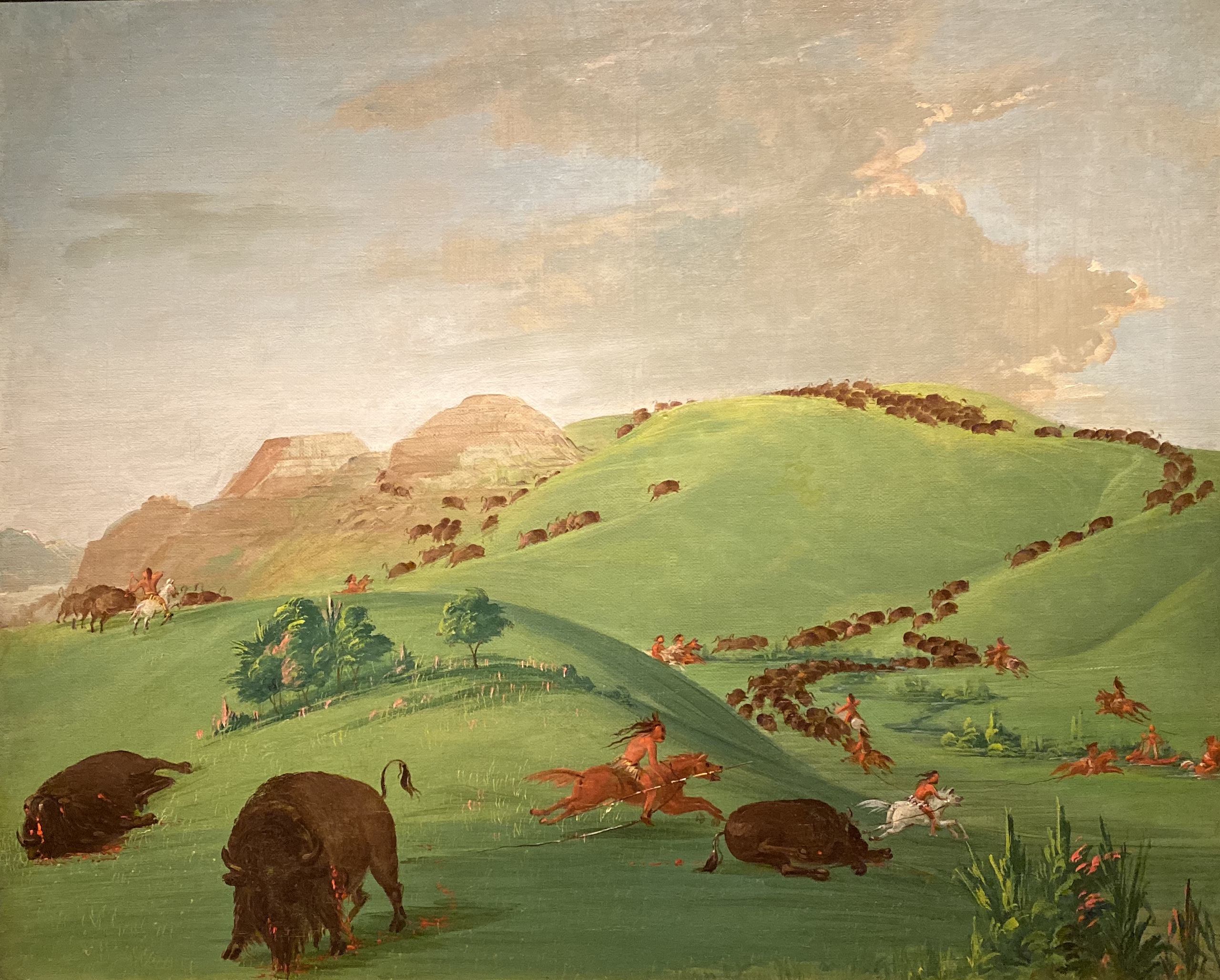 fullsizeoutput_1bdf7