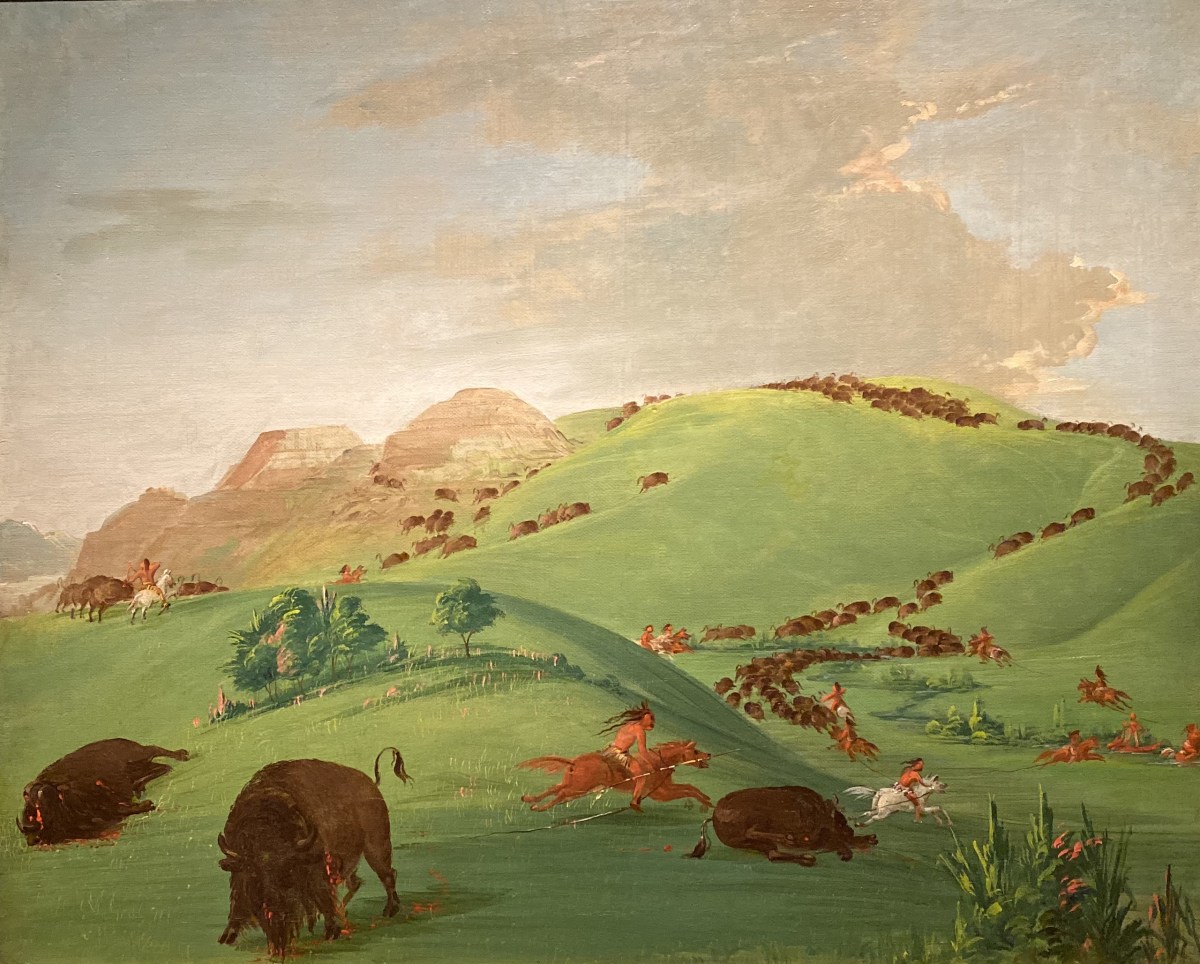 fullsizeoutput_1bdf7