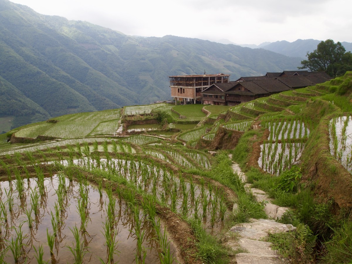 fullsizeoutput_1bfdc