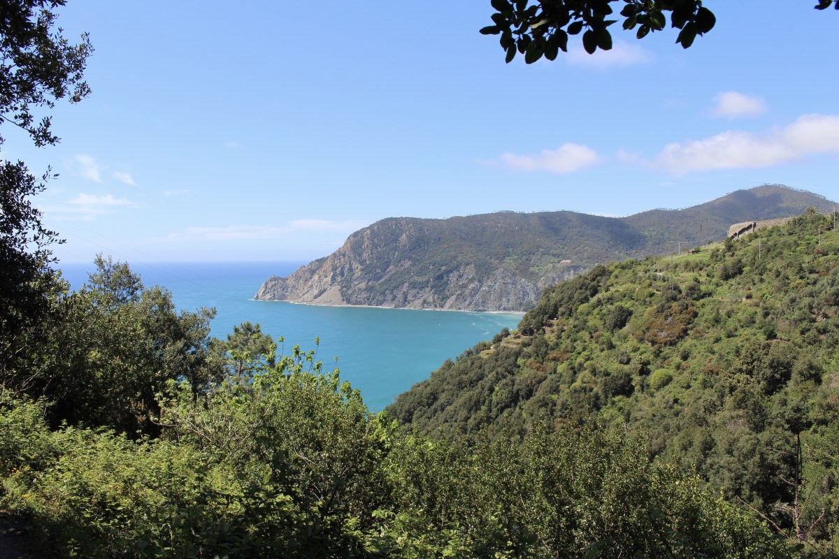 fullsizeoutput_1c763