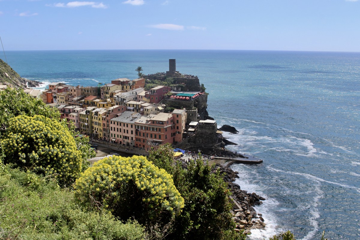 fullsizeoutput_1c776