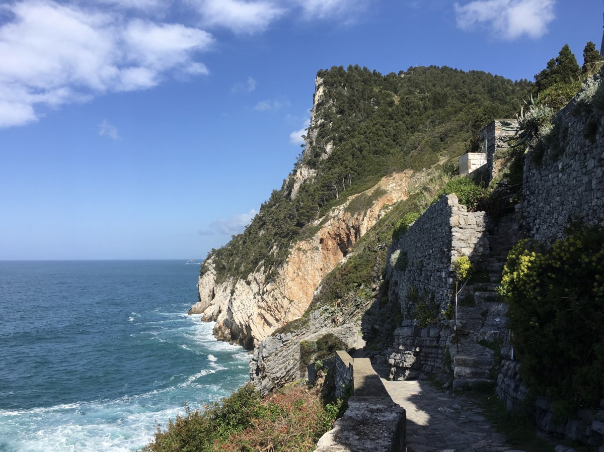 fullsizeoutput_1c85b