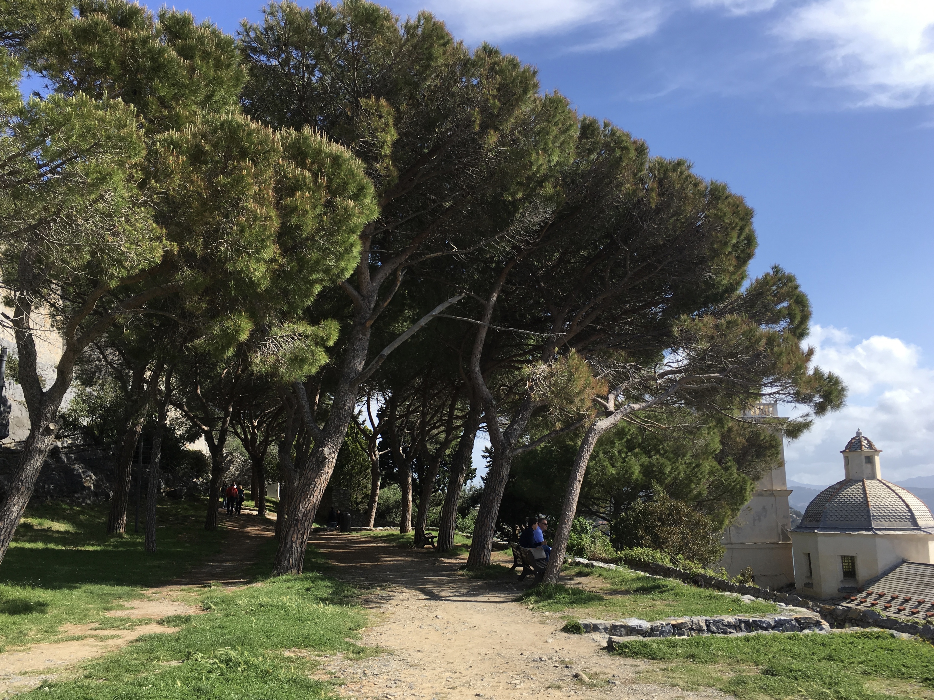 fullsizeoutput_1c85d