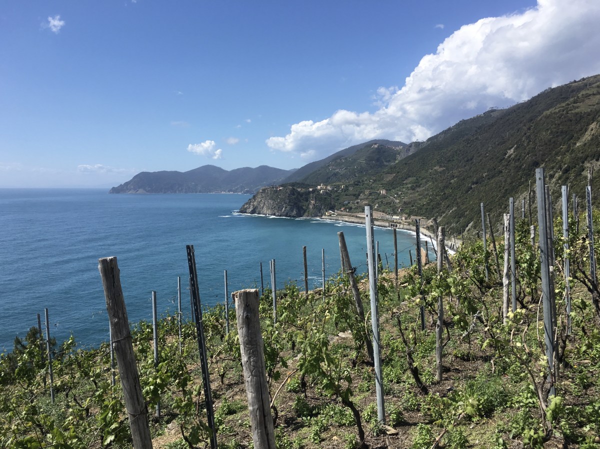 fullsizeoutput_1c87a