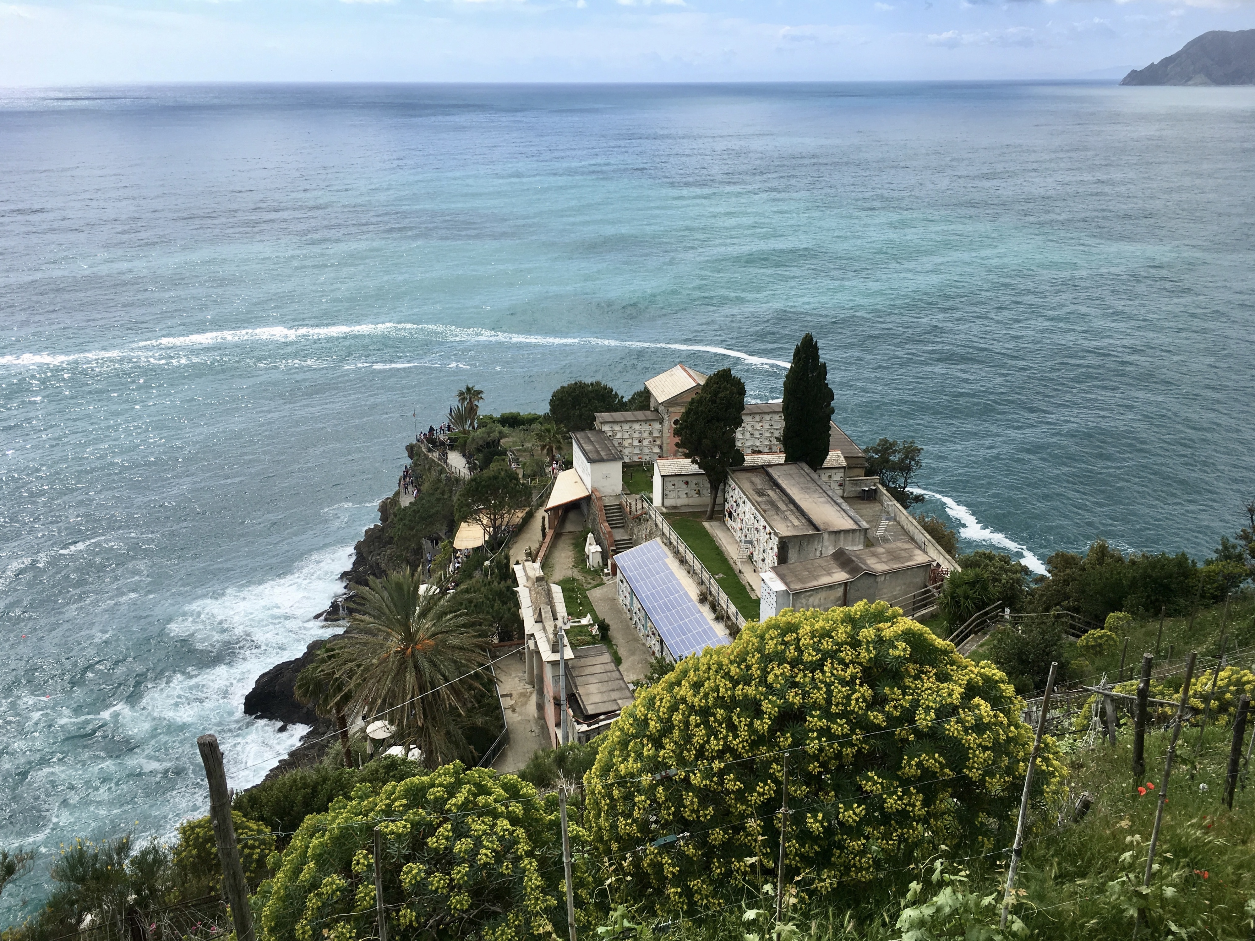 fullsizeoutput_1c887