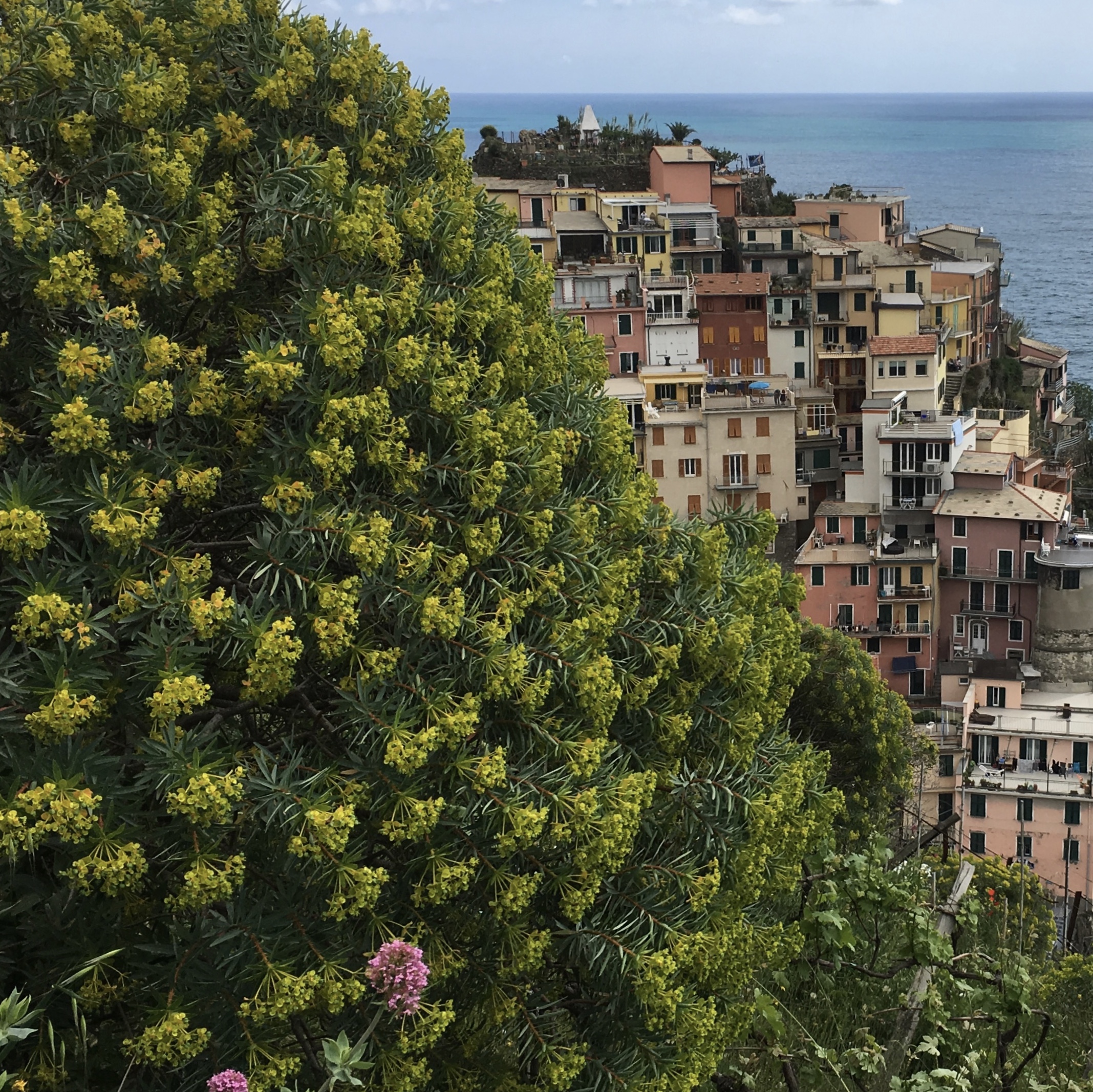 fullsizeoutput_1c889