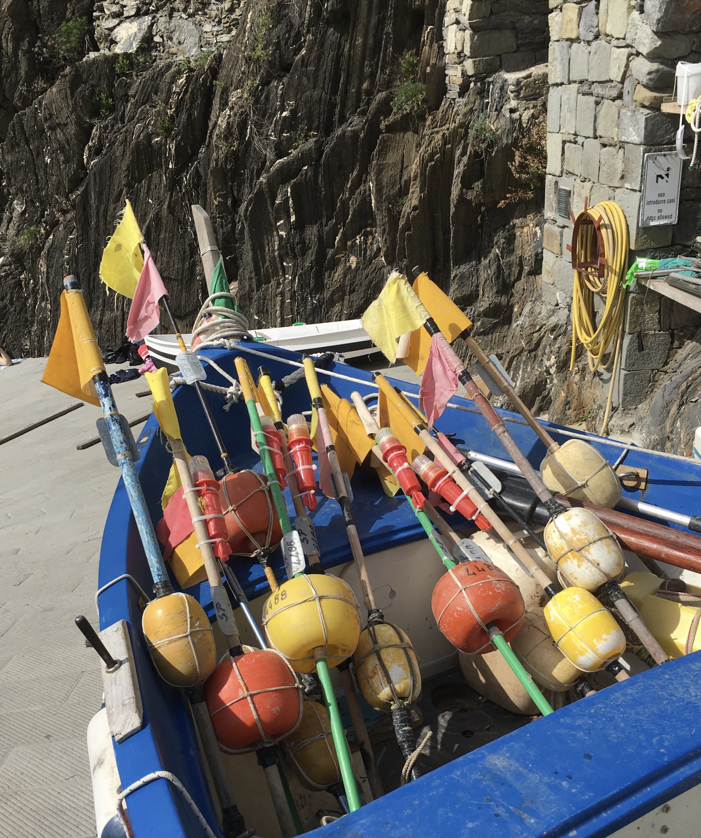 fullsizeoutput_1c8a7