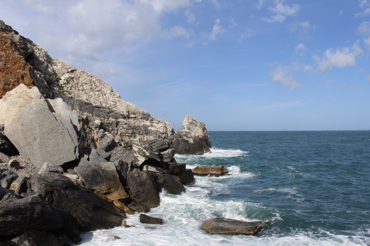 fullsizeoutput_1c8b1