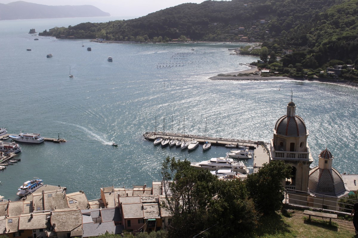 fullsizeoutput_1c8d3