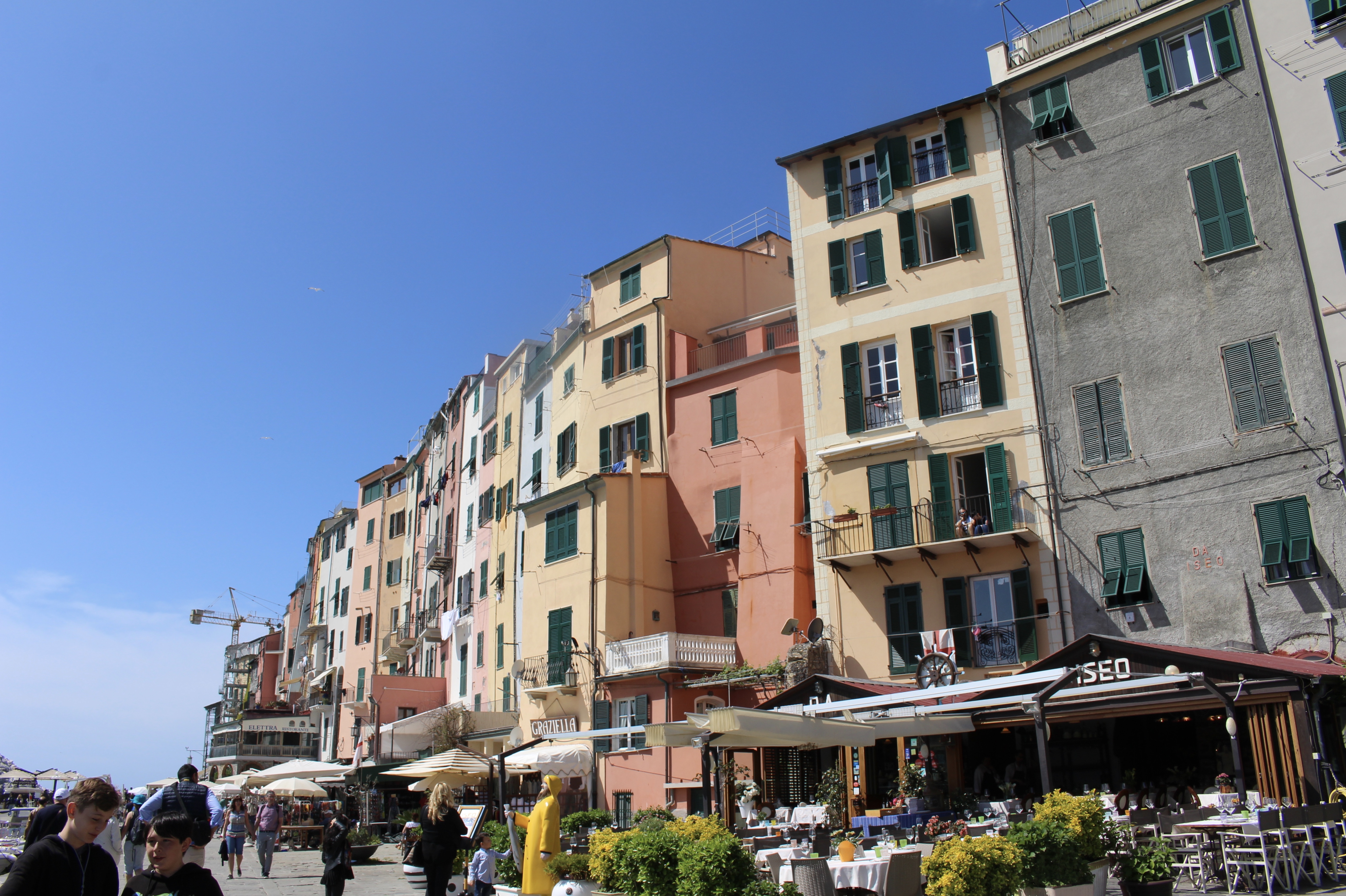 fullsizeoutput_1c8ea