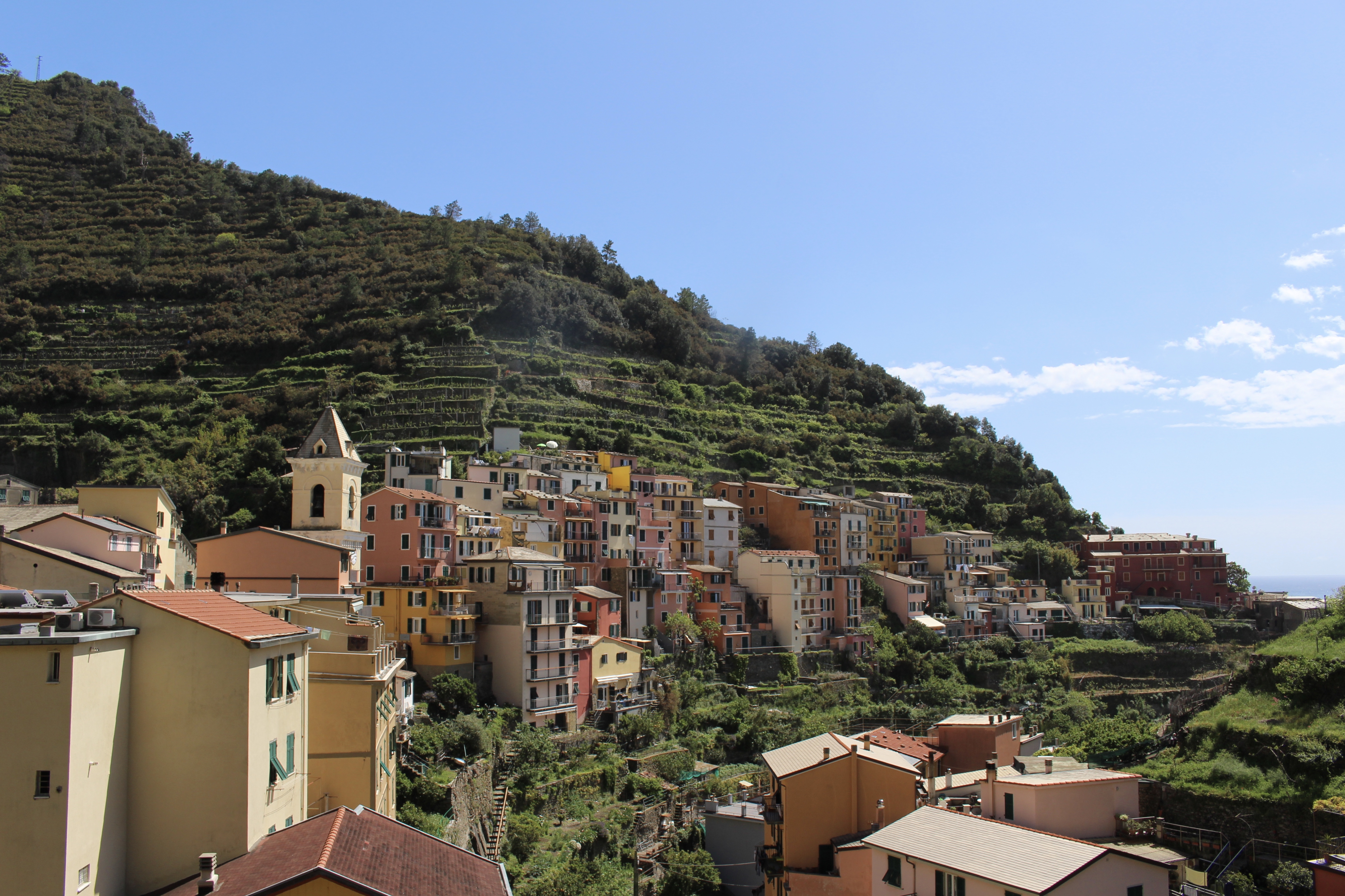 fullsizeoutput_1c91a