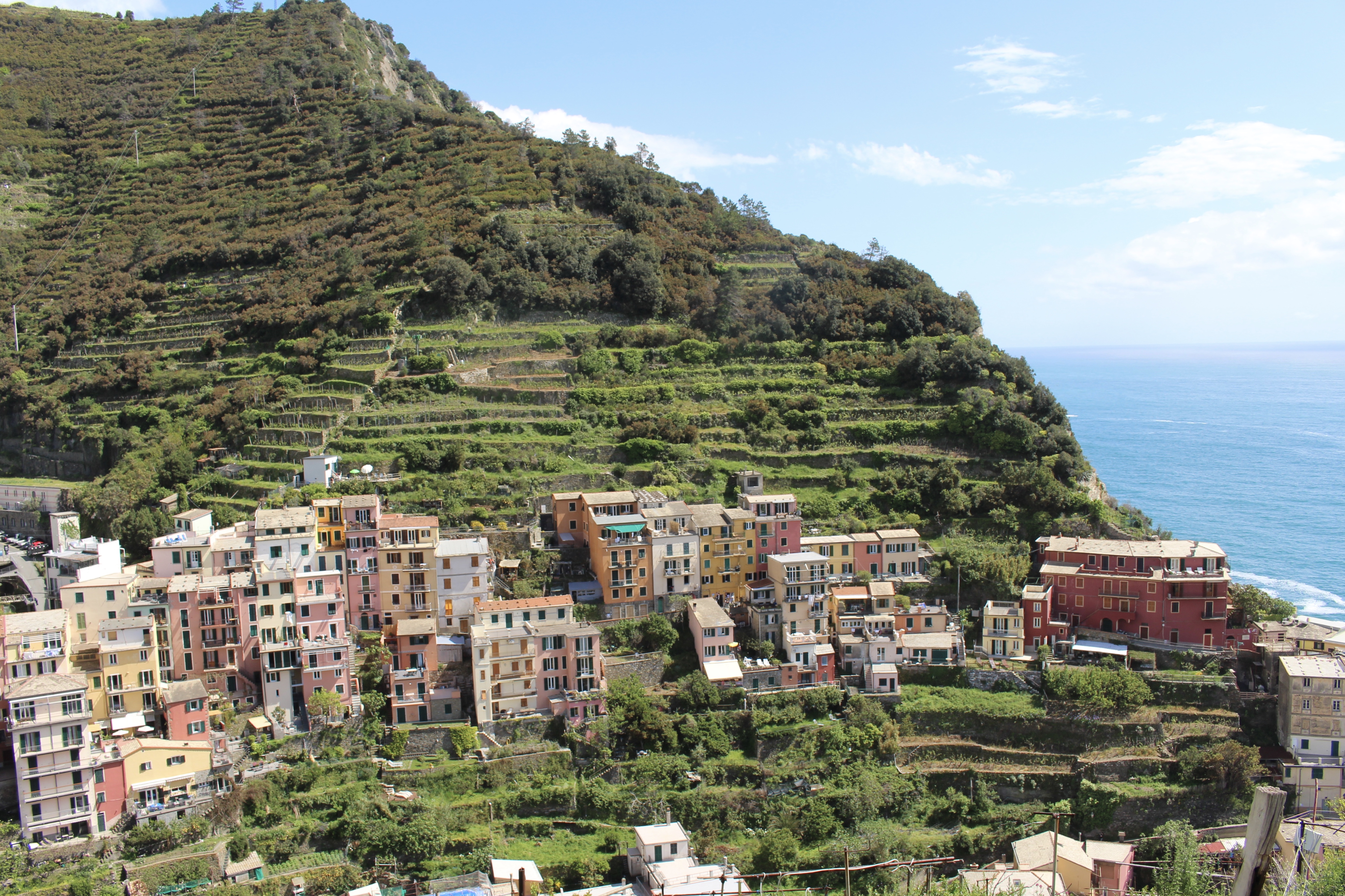 fullsizeoutput_1c92a