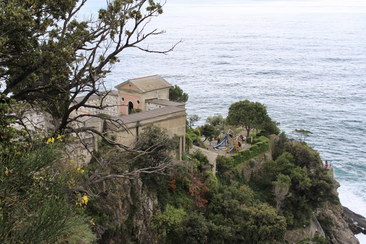 fullsizeoutput_1c938