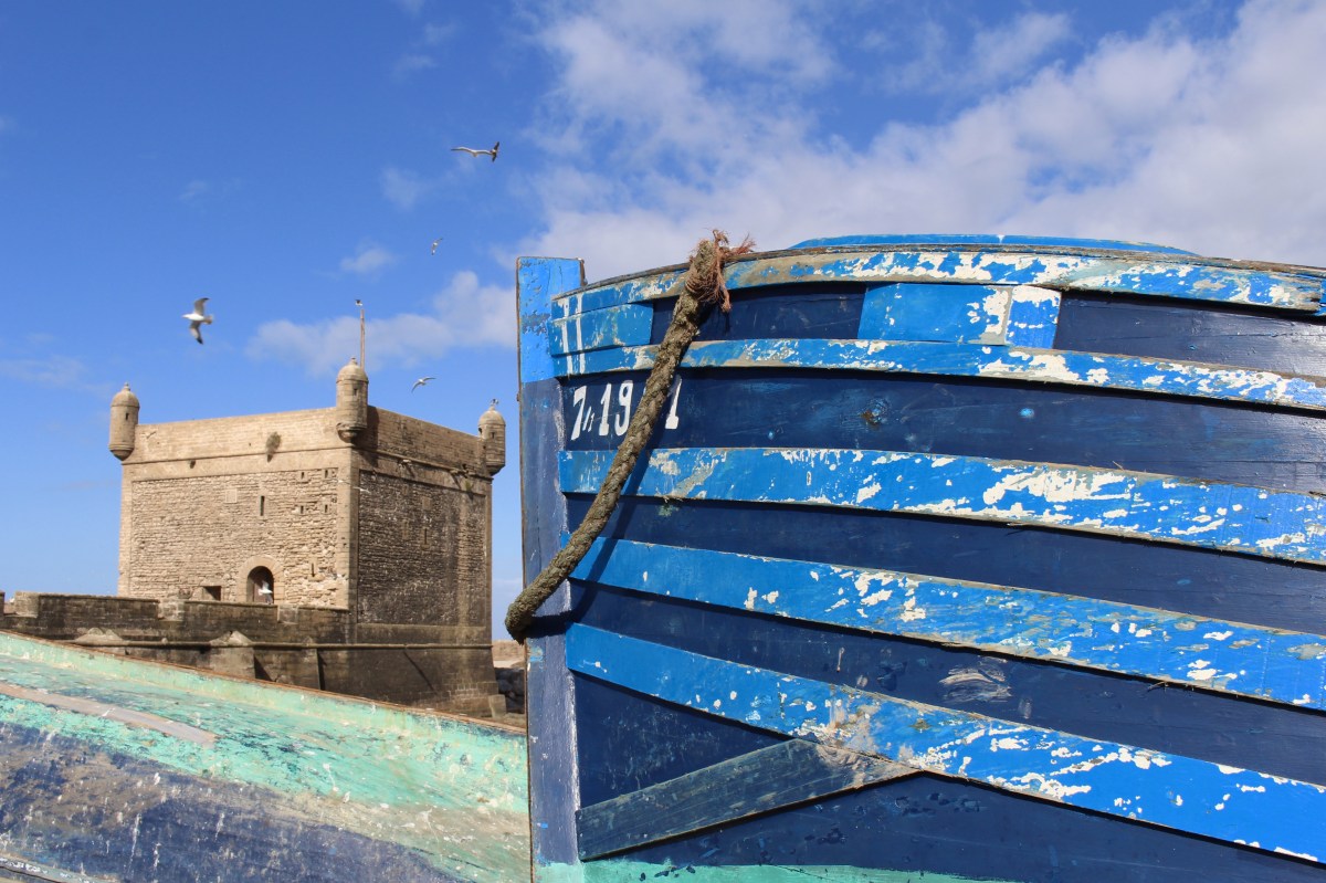 fullsizeoutput_1cb80