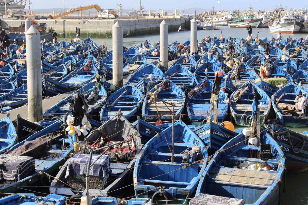 fullsizeoutput_1cb82