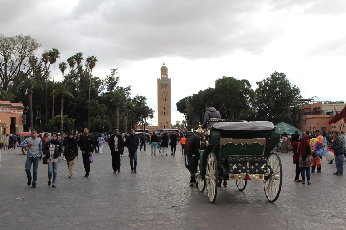 fullsizeoutput_1cc1f