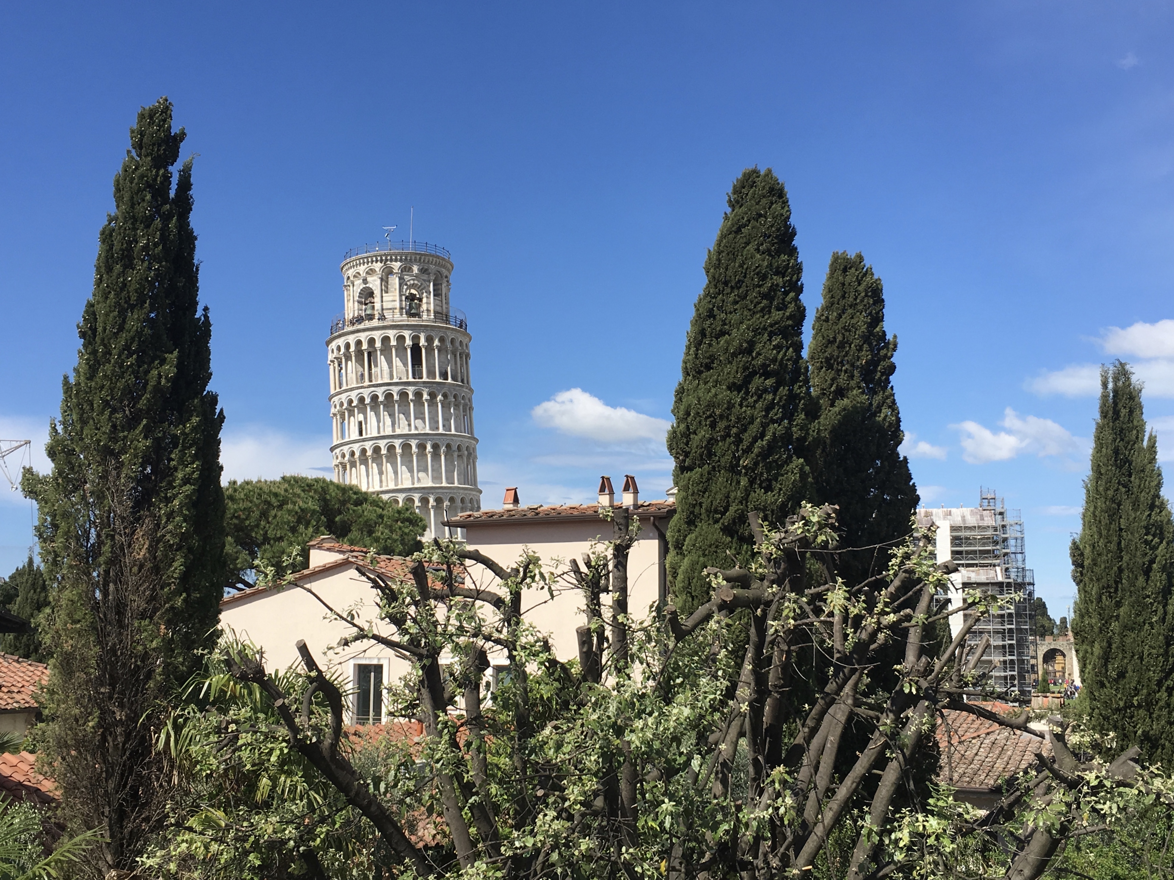 fullsizeoutput_1ccd3