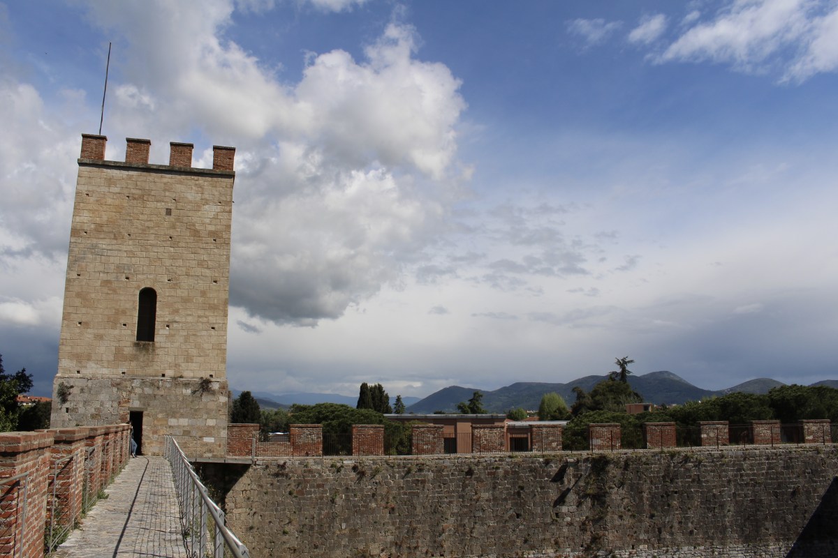 fullsizeoutput_1ccf0