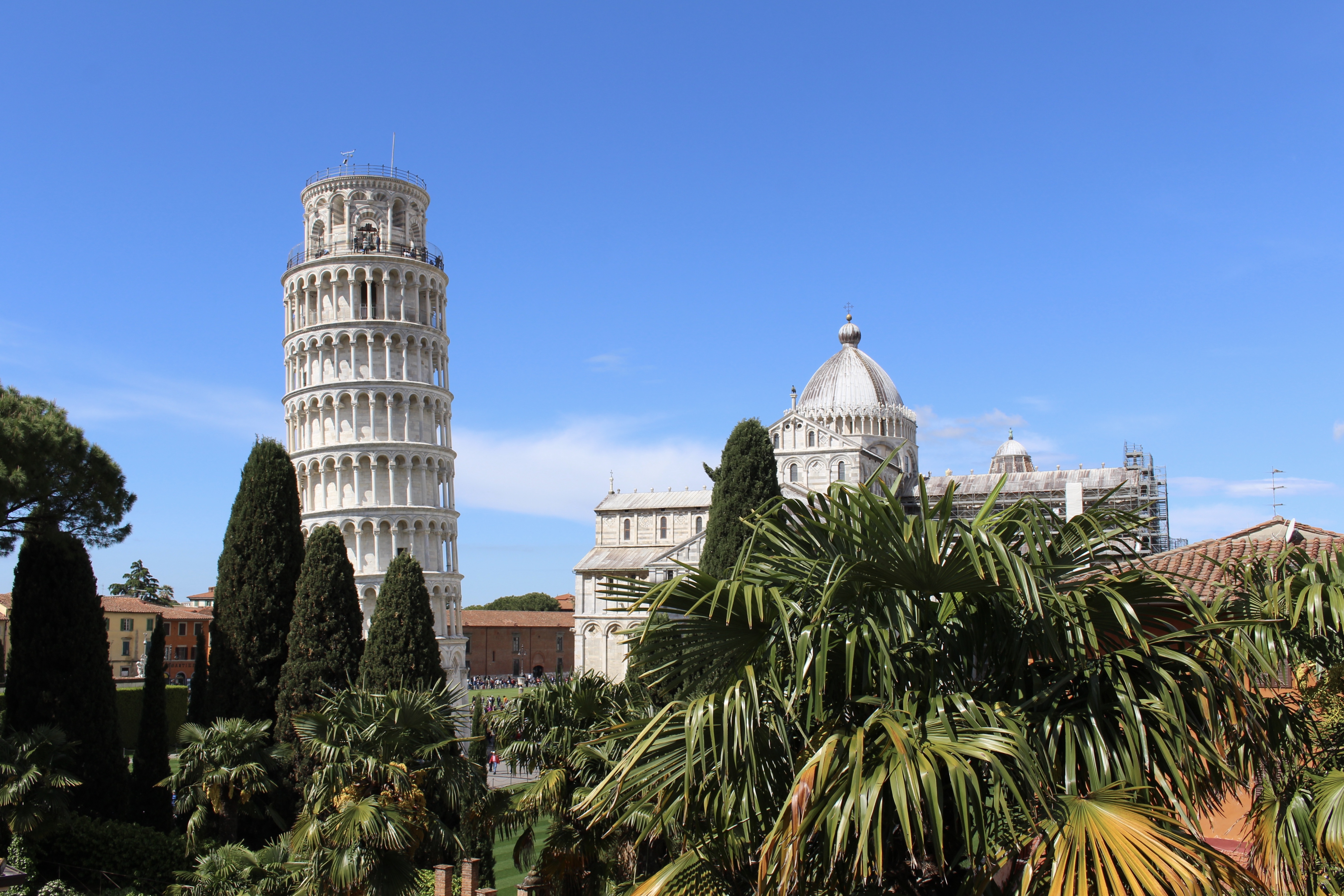 fullsizeoutput_1ccf2