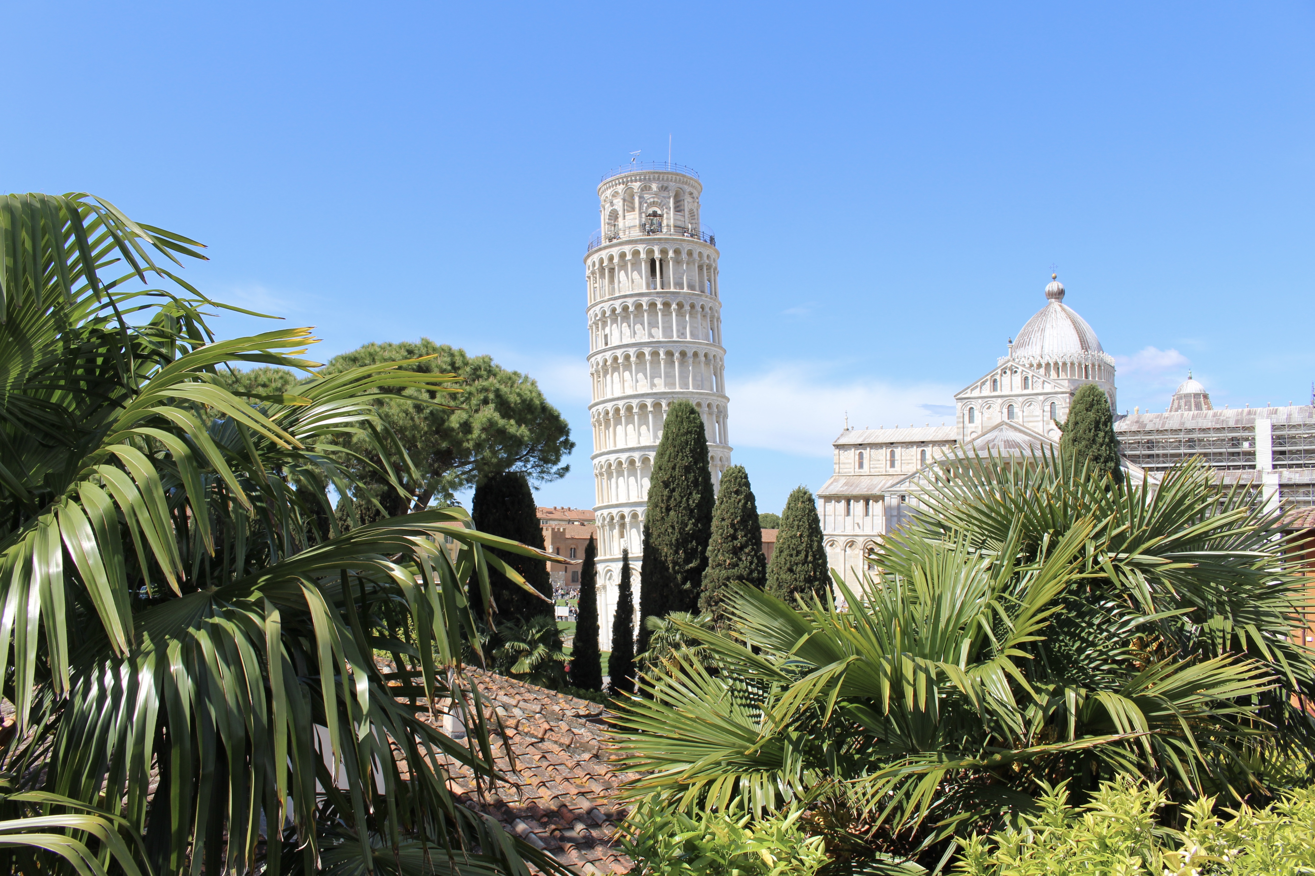 fullsizeoutput_1ccf3